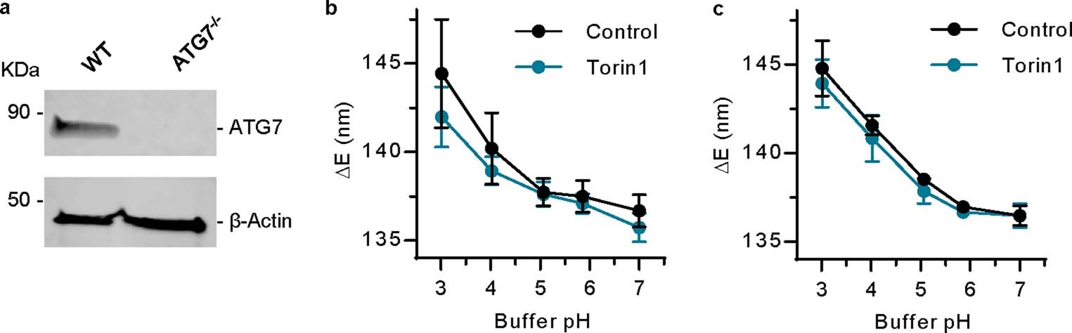 Extended Data Fig. 7