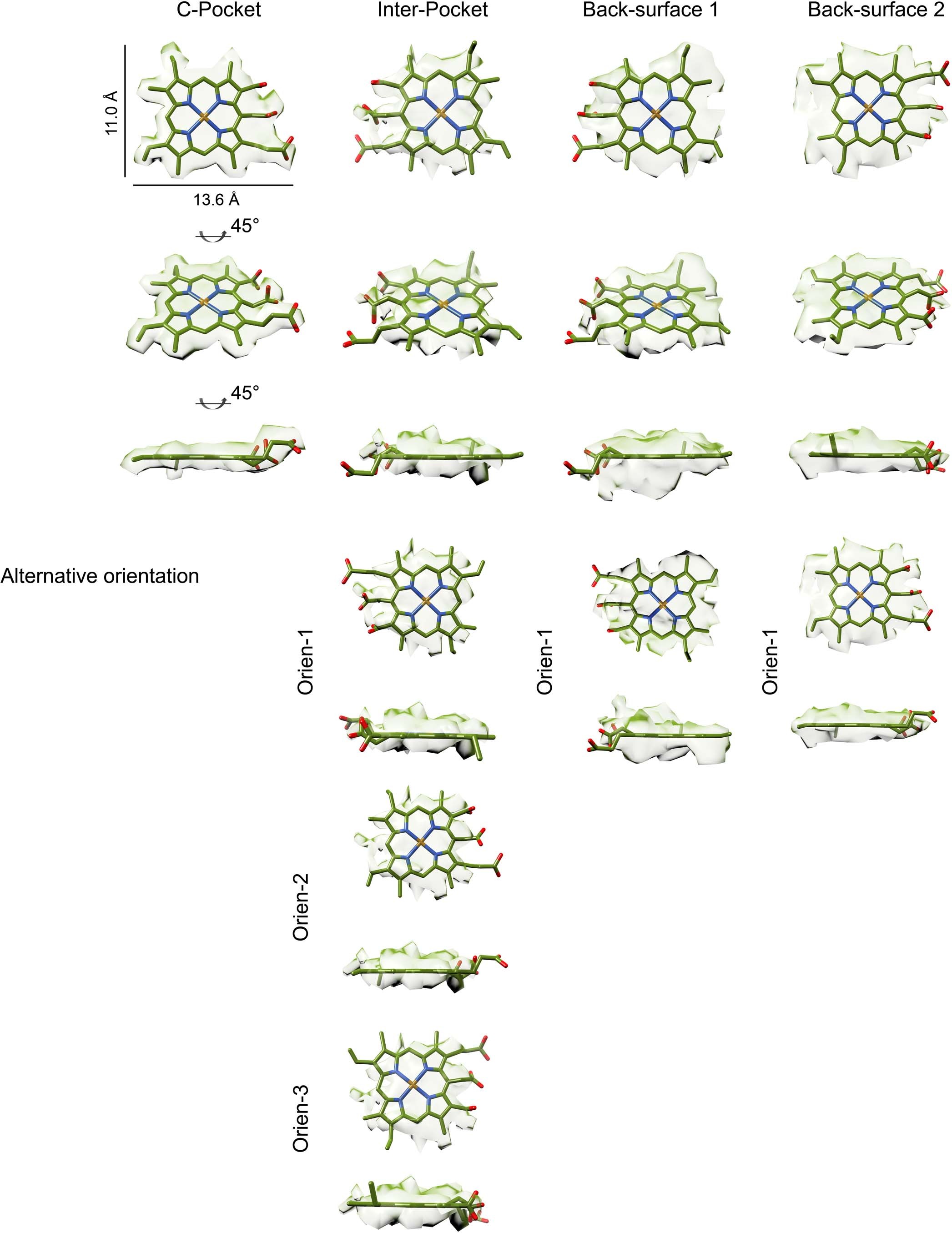 Extended Data Fig. 6: Cryo-EM densities and structure models of CCA molecules at different ligand-binding sites of the α-syn fibril.