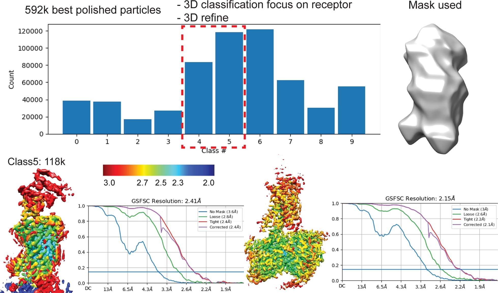 Extended Data Fig. 6: 3D particle subclassification of active, Gs-coupled AMY3R bound to San385, and map refinement for Cluster 5.