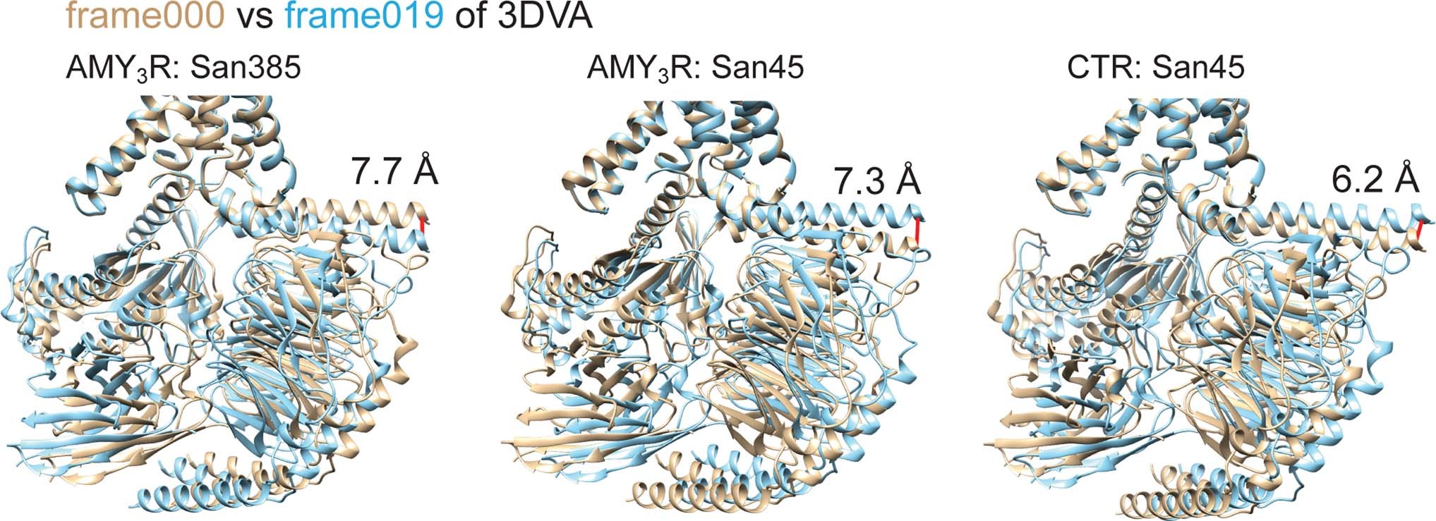 Extended Data Fig. 5: Superposition of backbone models of the receptor-G protein interface fitted into the two extreme maps from the main principal component of motion for the interface from 3DVA of each of the complexes.