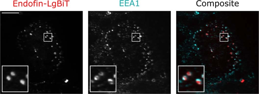 Extended Data Fig. 3