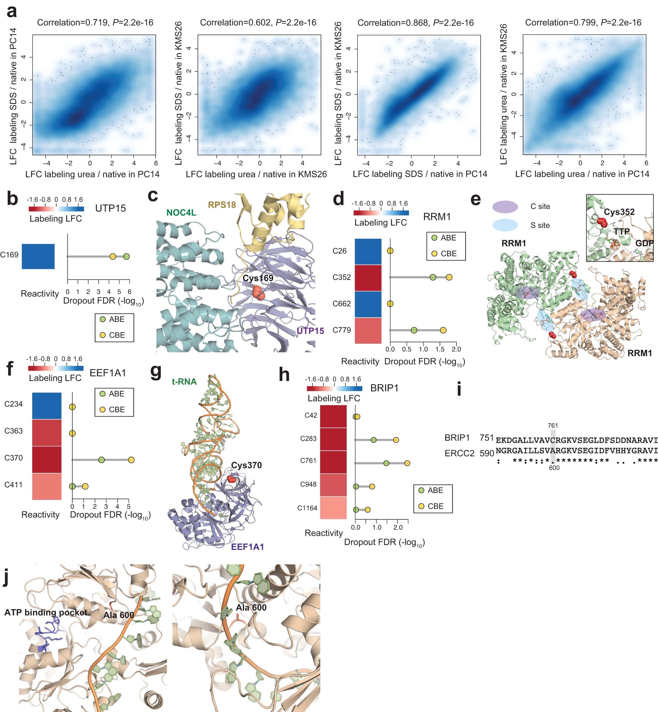 Extended Data Fig. 5: Prioritizing essential cysteines with ligandability potential by quantitative cysteine reactivity profiling in native and denatured proteomes.