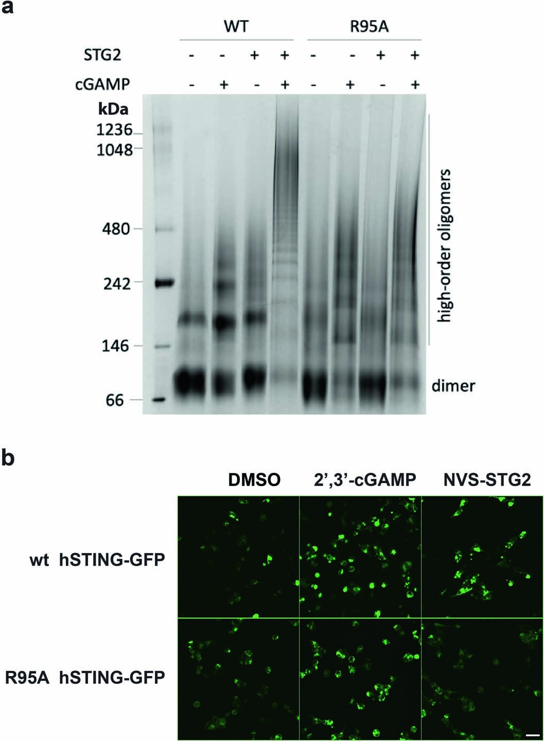 Extended Data Fig. 6