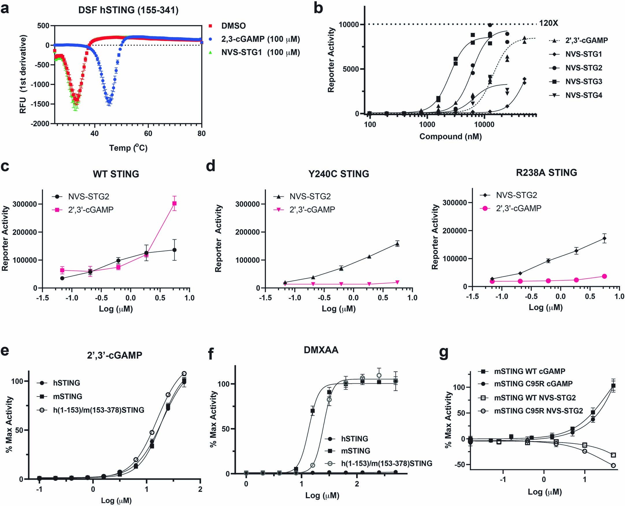 Extended Data Fig. 1: NVS-STG2 is an allosteric small molecule human STING agonist.