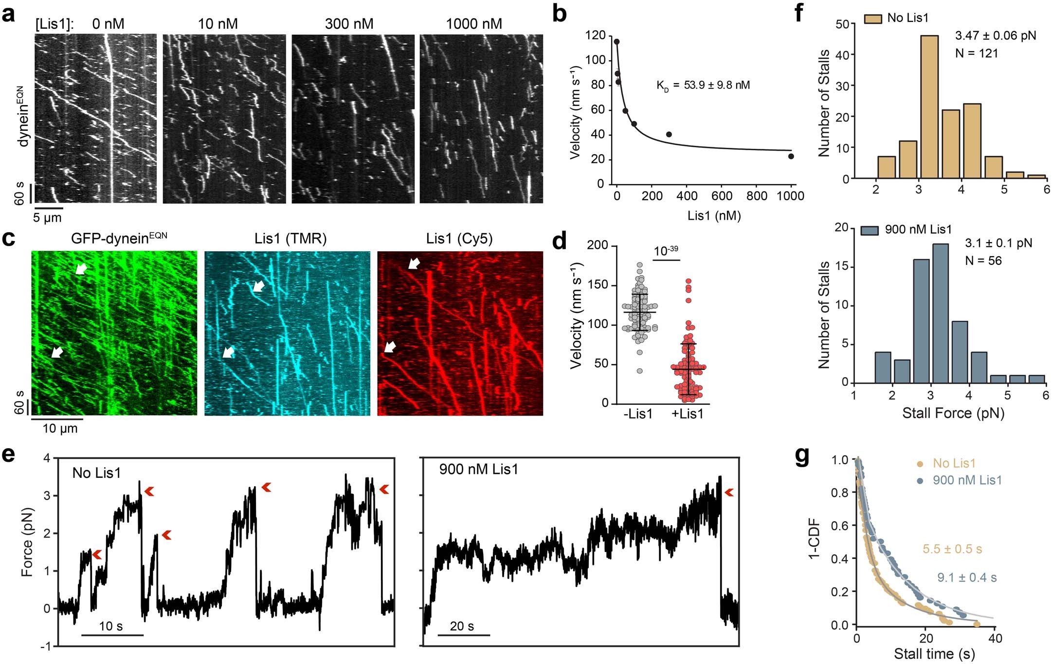 Extended Data Fig. 7