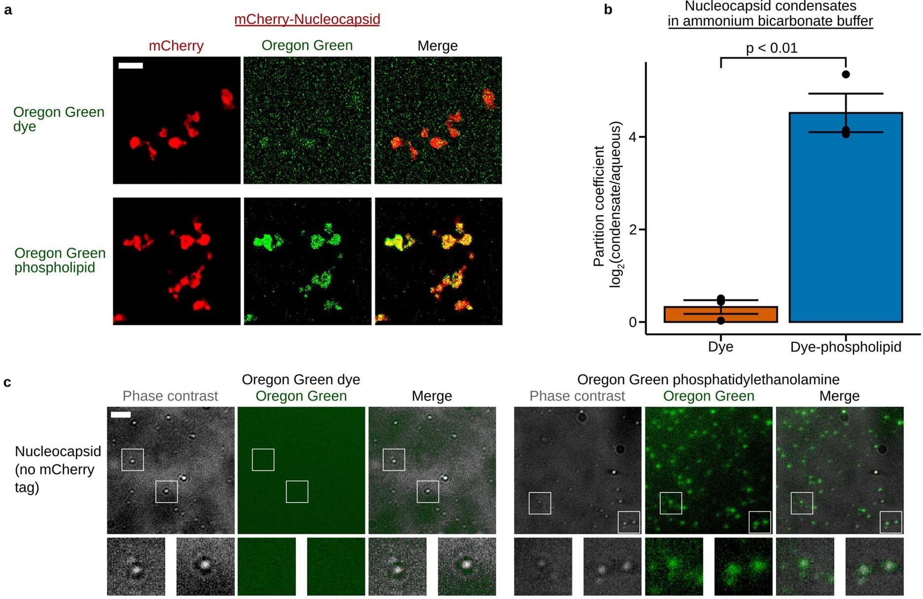 Extended Data Fig. 6