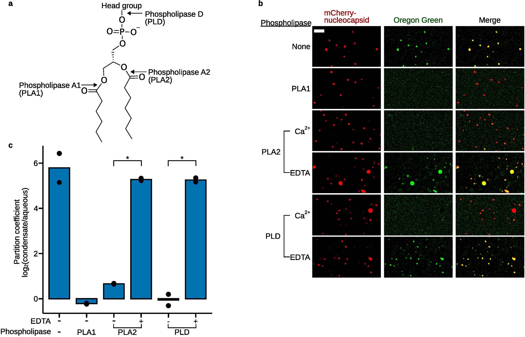 Extended Data Fig. 7