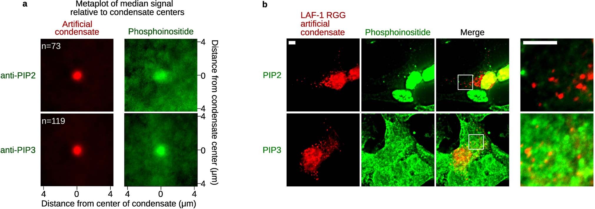 Extended Data Fig. 10