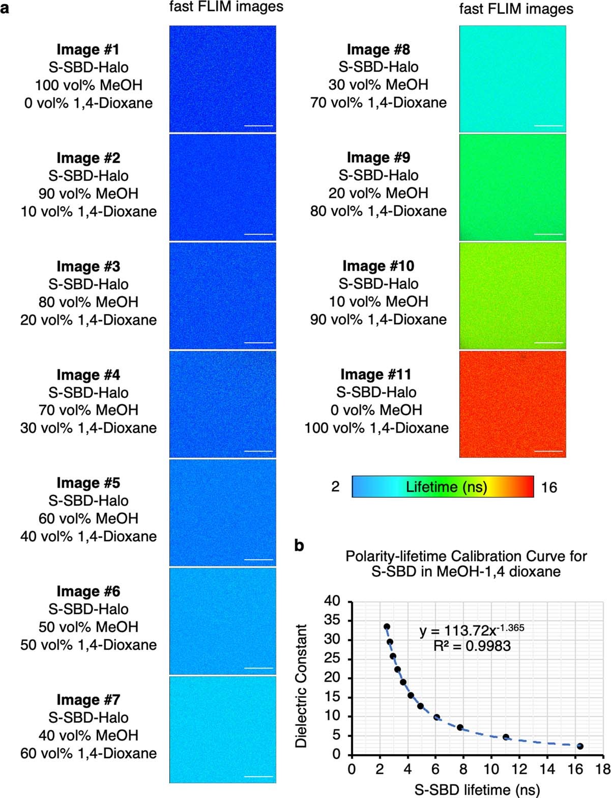 Extended Data Fig. 10: Photophysical property of S-SBD-Halo.