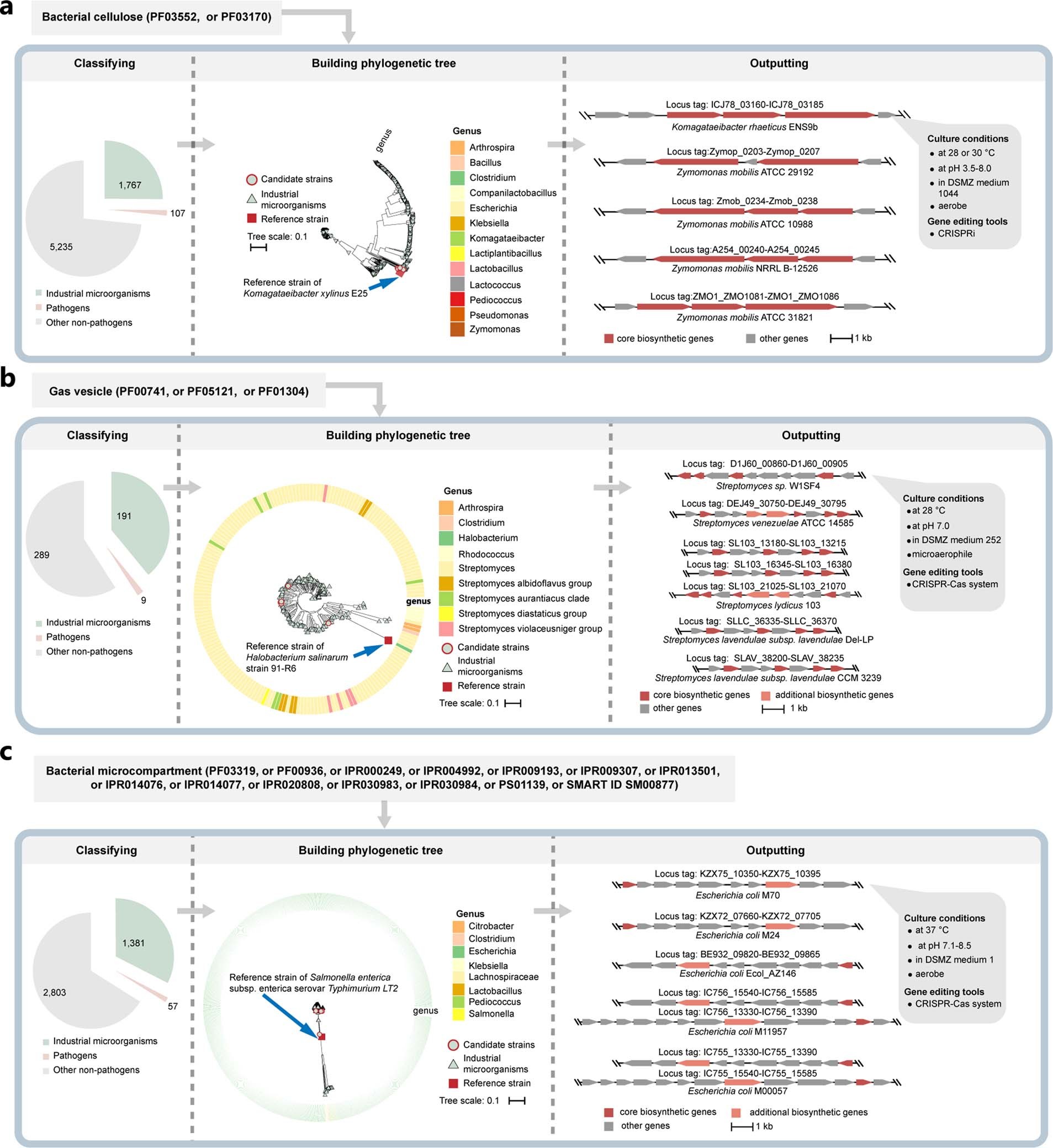 Extended Data Fig. 1: The use of the BBSniffer software for mining biopolymer-producers of bacterial cellulose (BC), gas vesicle (GV) and bacterial microcompartment (BMC).