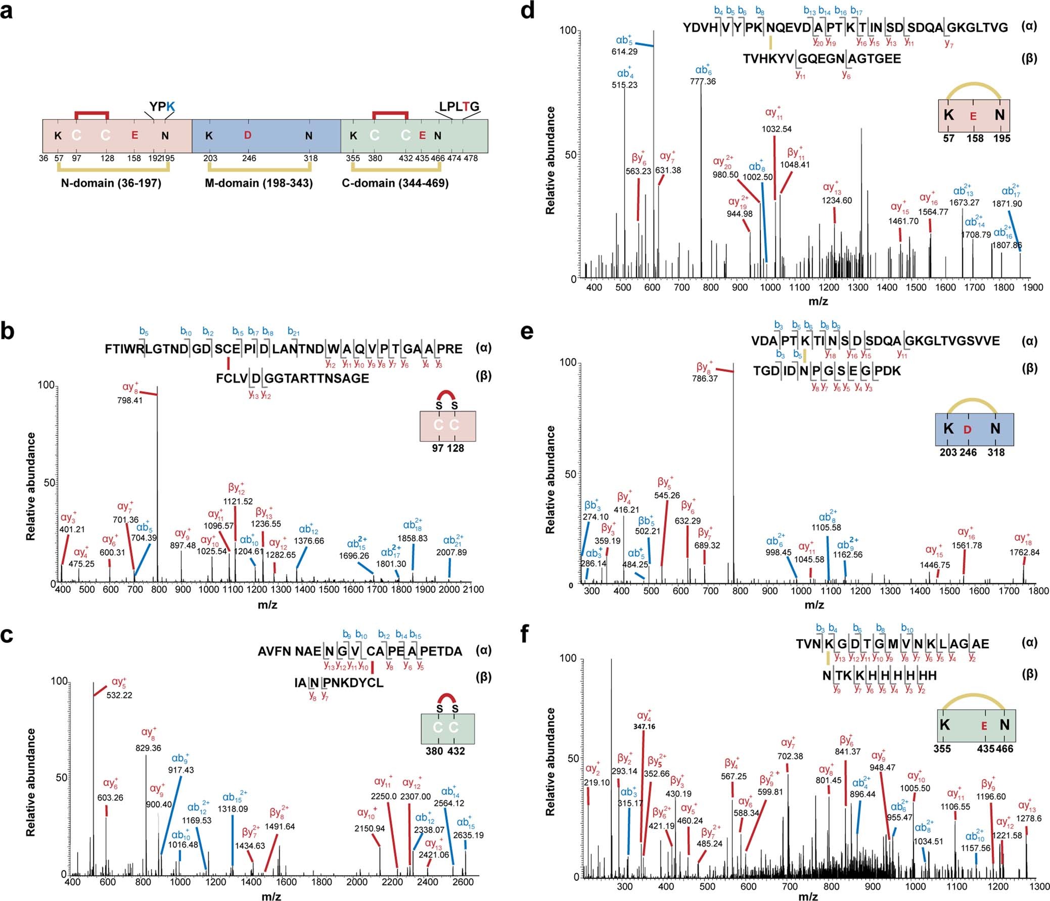 Extended Data Fig. 4: Identification of the disulfide bonds and intramolecular isopeptide bonds formation at appropriate sequence locations in Spa2 by LC–MS/MS analysis.