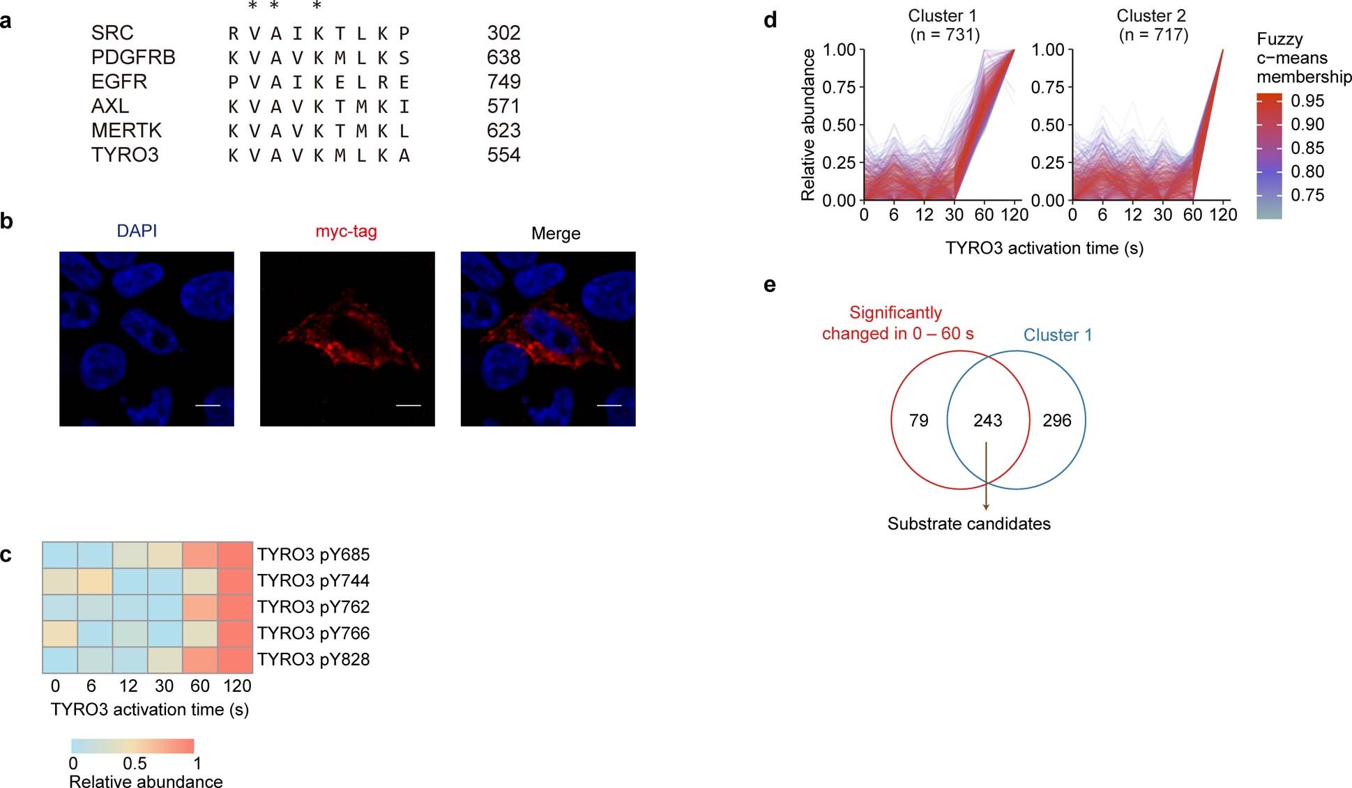 Extended Data Fig. 8: DeKinomics study of TYRO3.