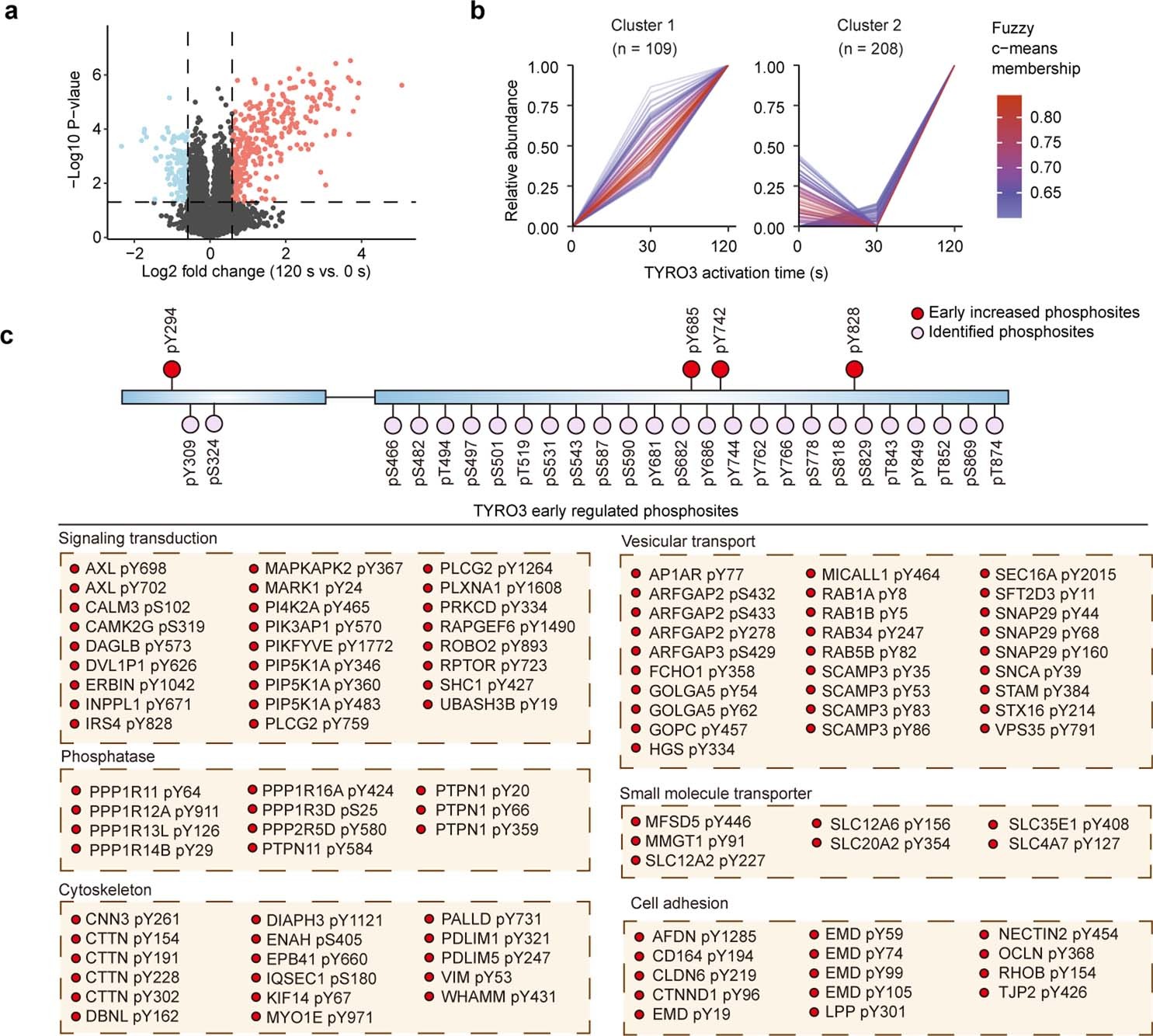 Extended Data Fig. 9: DeKinomics-depicted TYRO3 function.