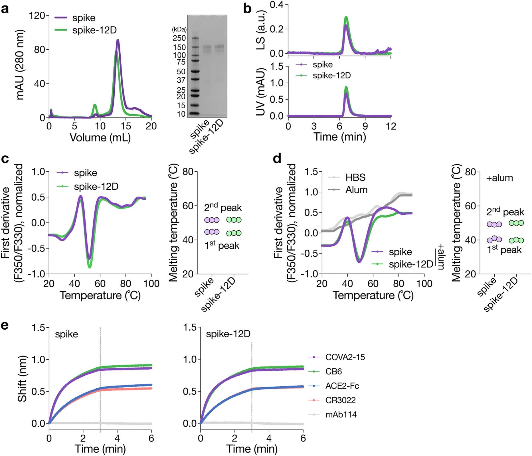Extended Data Fig. 4: OligoD insertion into SARS-CoV-2 spike.
