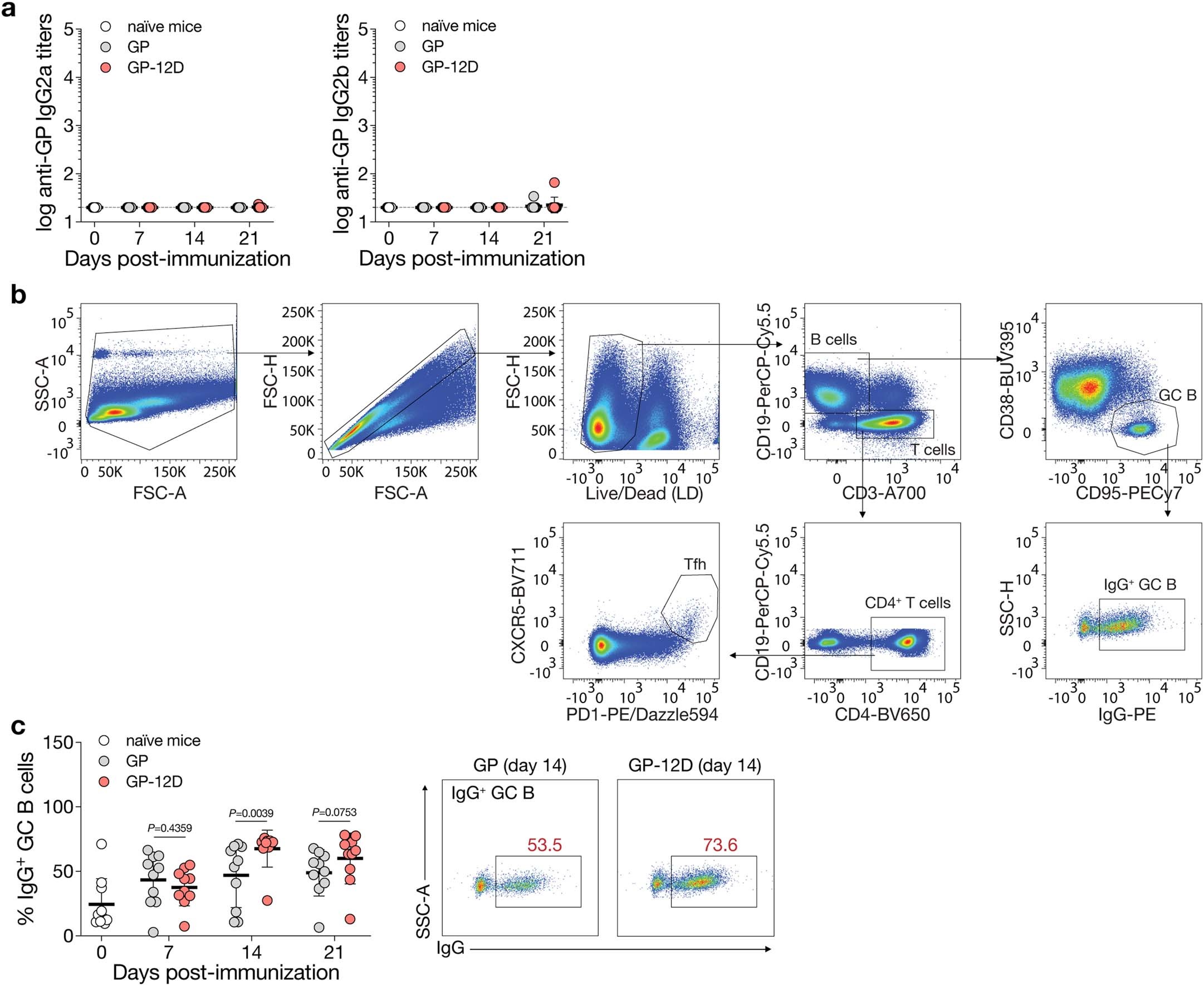 Extended Data Fig. 3: Analysis of germinal center responses.