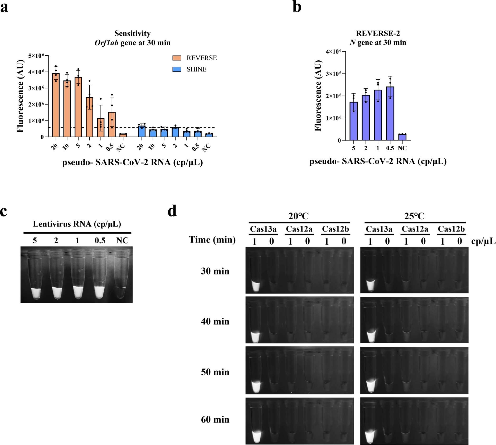 Extended Data Fig. 6