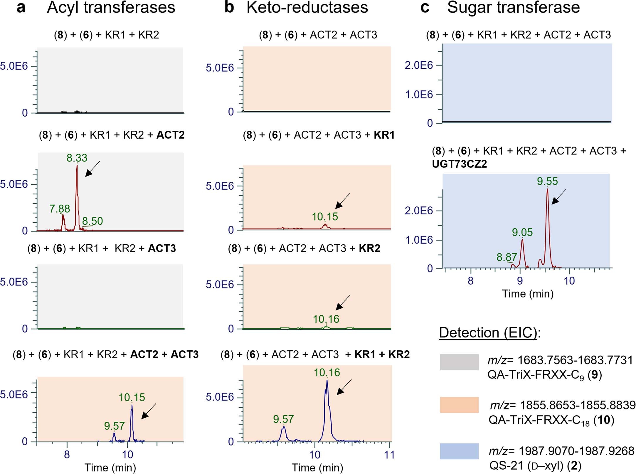 Extended Data Fig. 7: Identification of the five additional genes necessary for biosynthesis and addition of the arabinofuranosylated C18 acyl chain of QS-21 (2).