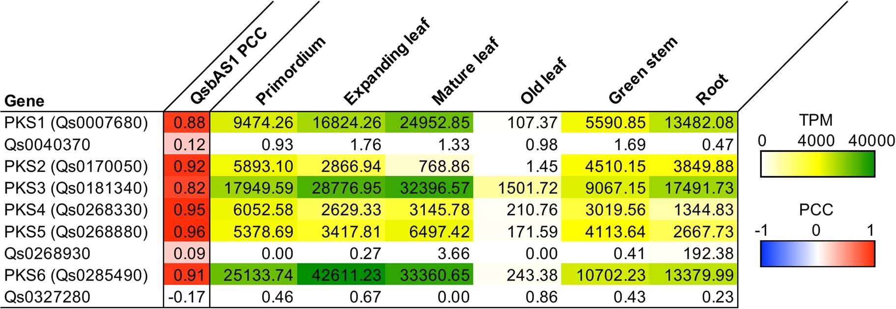 Extended Data Fig. 2: Expression data for predicted Q. saponaria PKSIII genes.