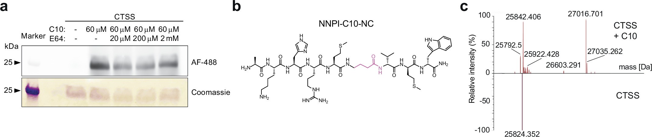 Extended Data Fig. 4