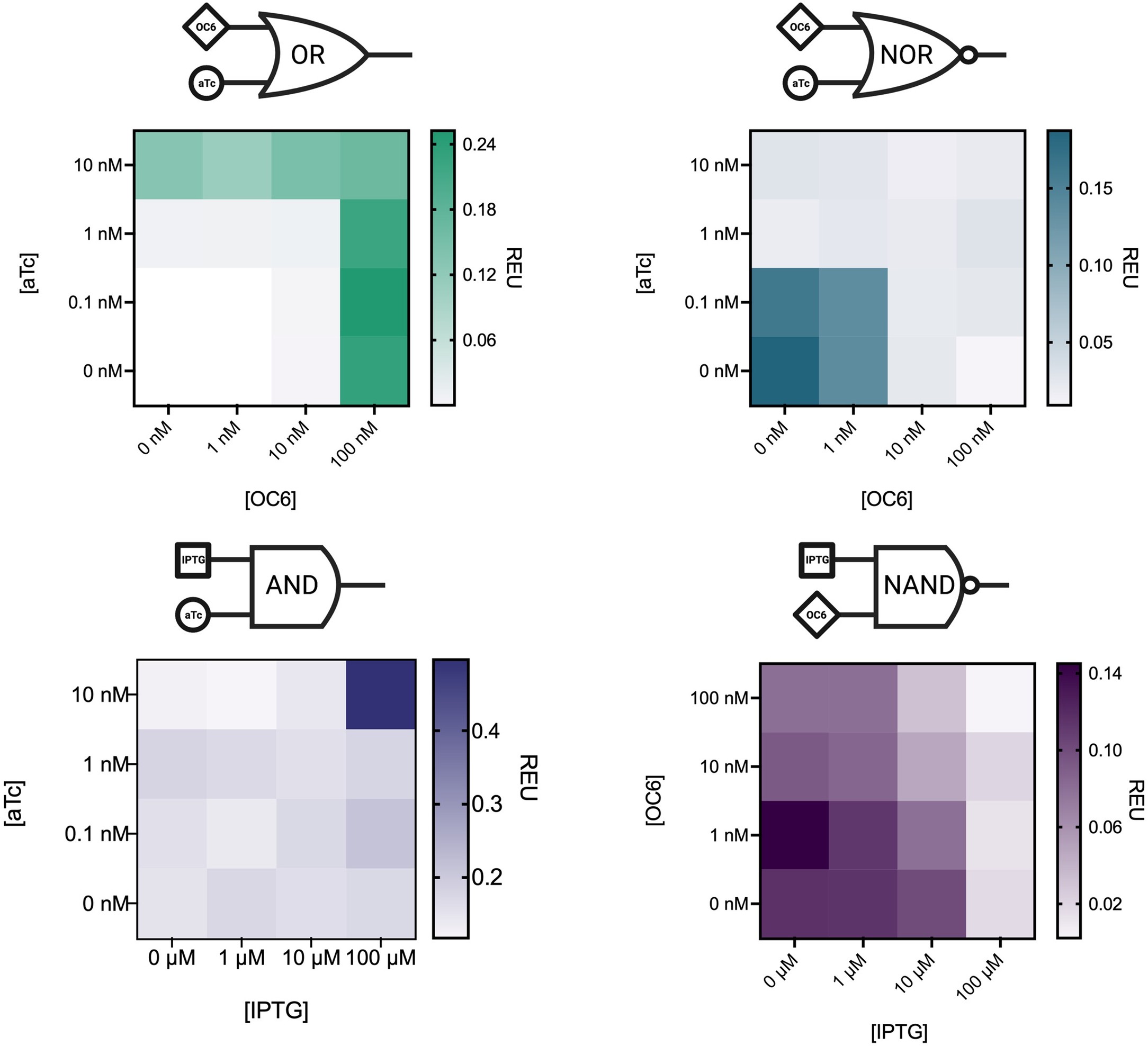 Extended Data Fig. 4: Genetic Boolean logic enables concentration-dependent transcriptional responses in S. oneidensis expressing sfgfp.