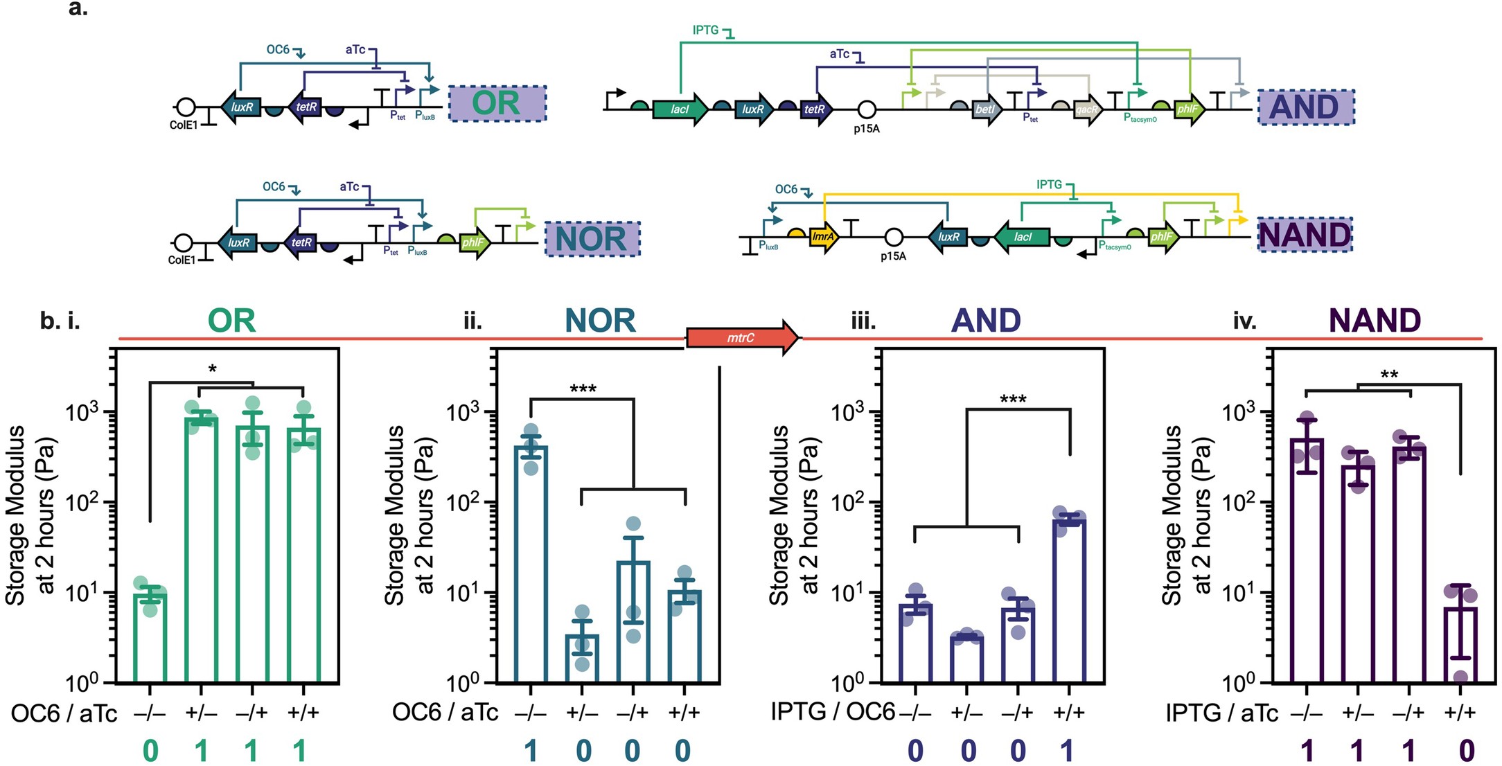 Extended Data Fig. 5: Genetic Boolean logic enables synthetic material computation during stationary phase cross-linking.
