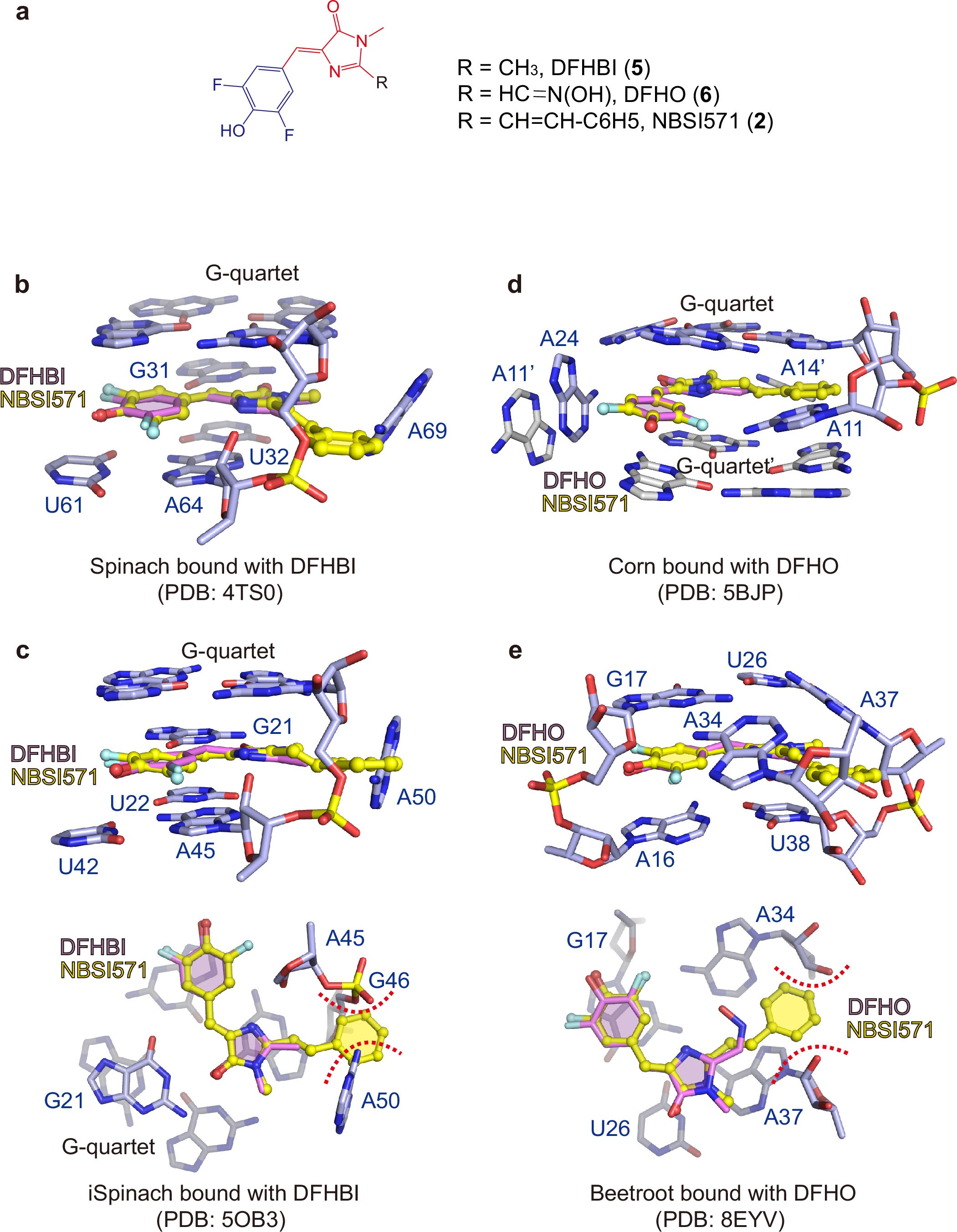 Extended Data Fig. 6