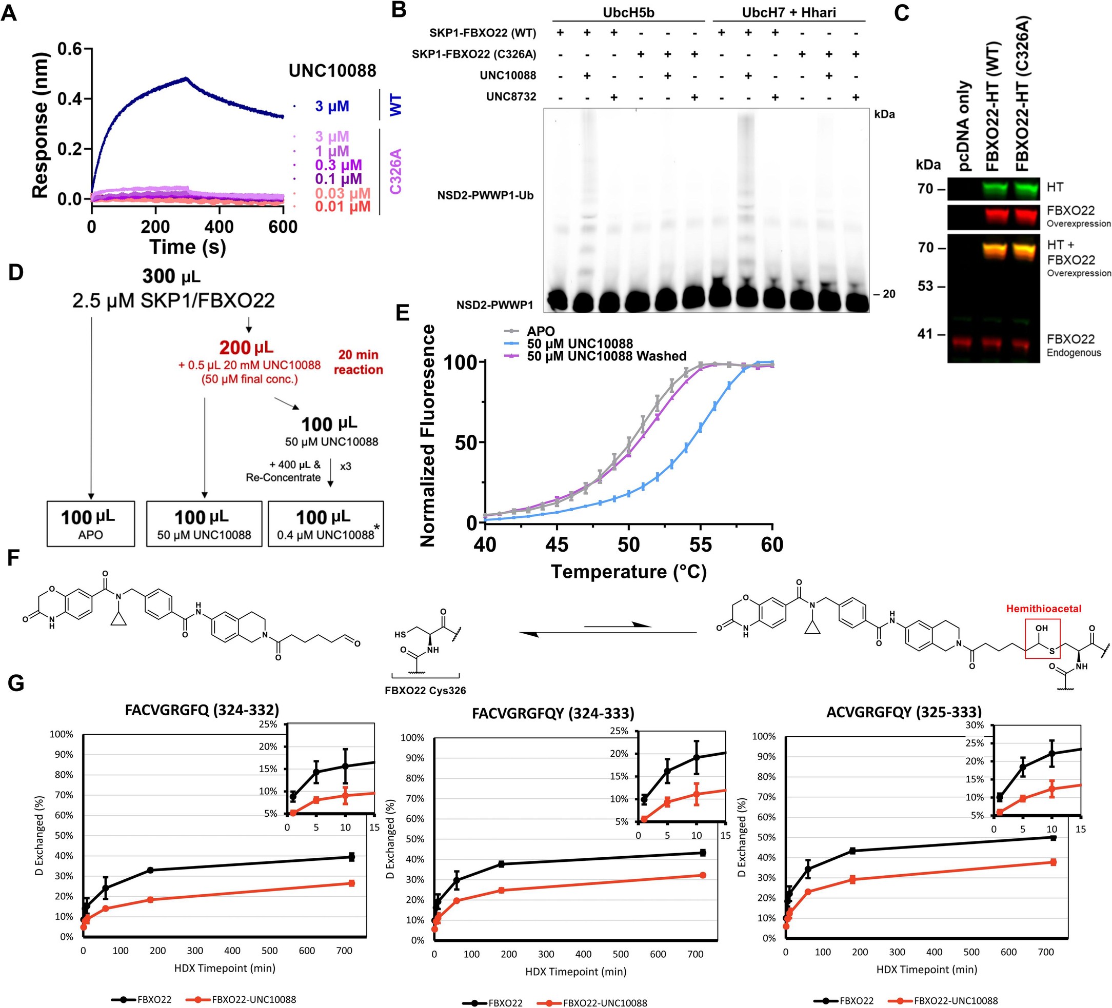 Extended Data Fig. 4: Aldehyde degraders bind FBXO22 in a cysteine 326-dependent manner.
