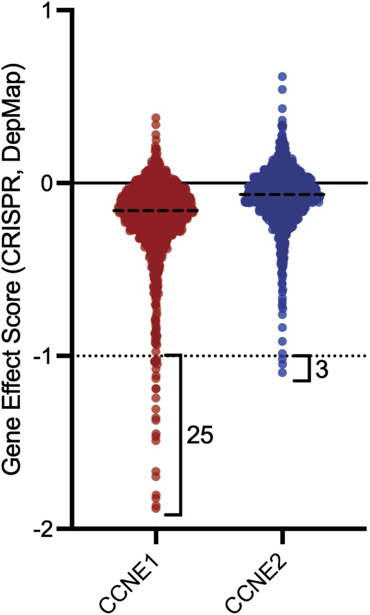 Extended Data Fig. 1