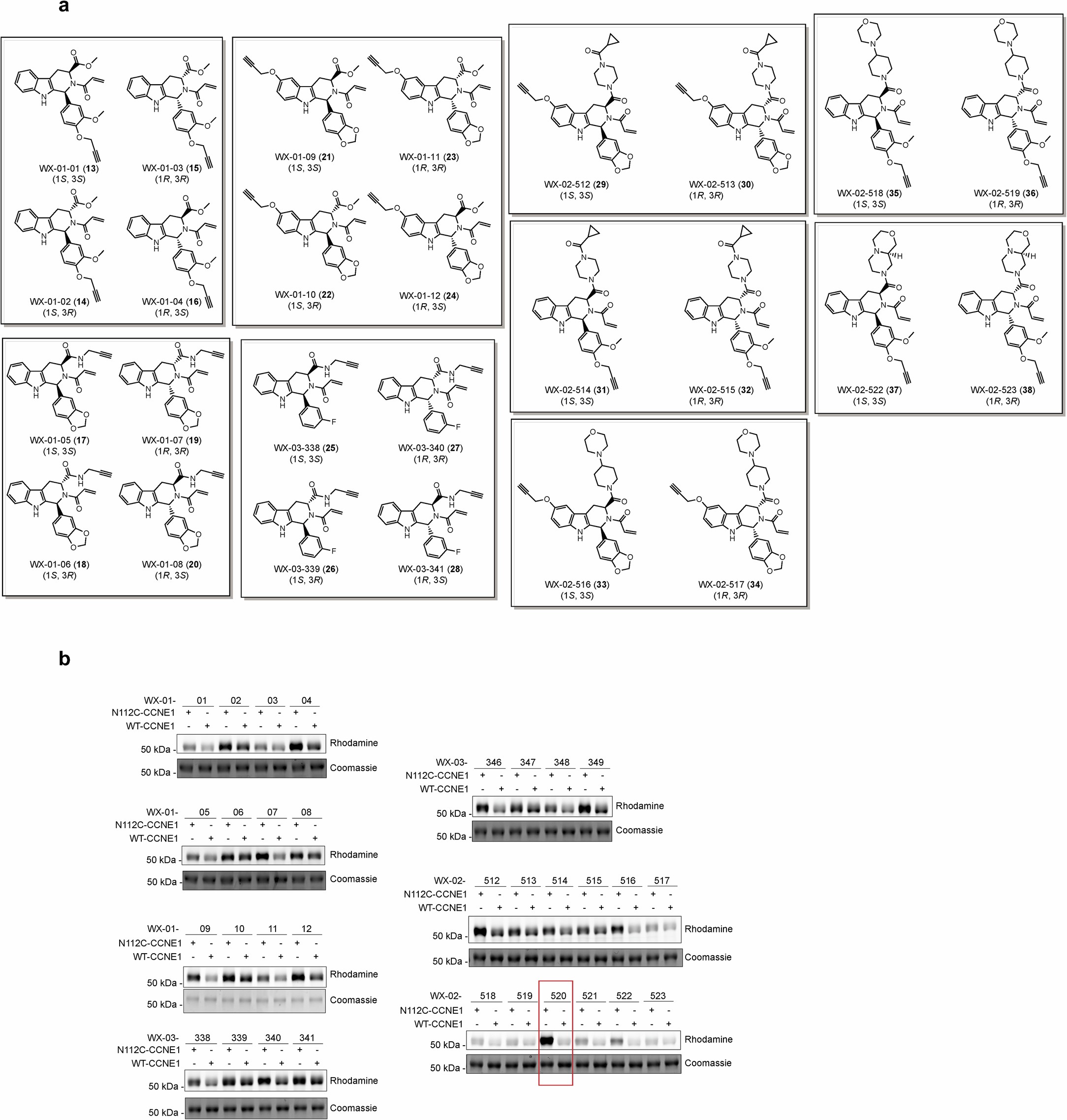 Extended Data Fig. 2