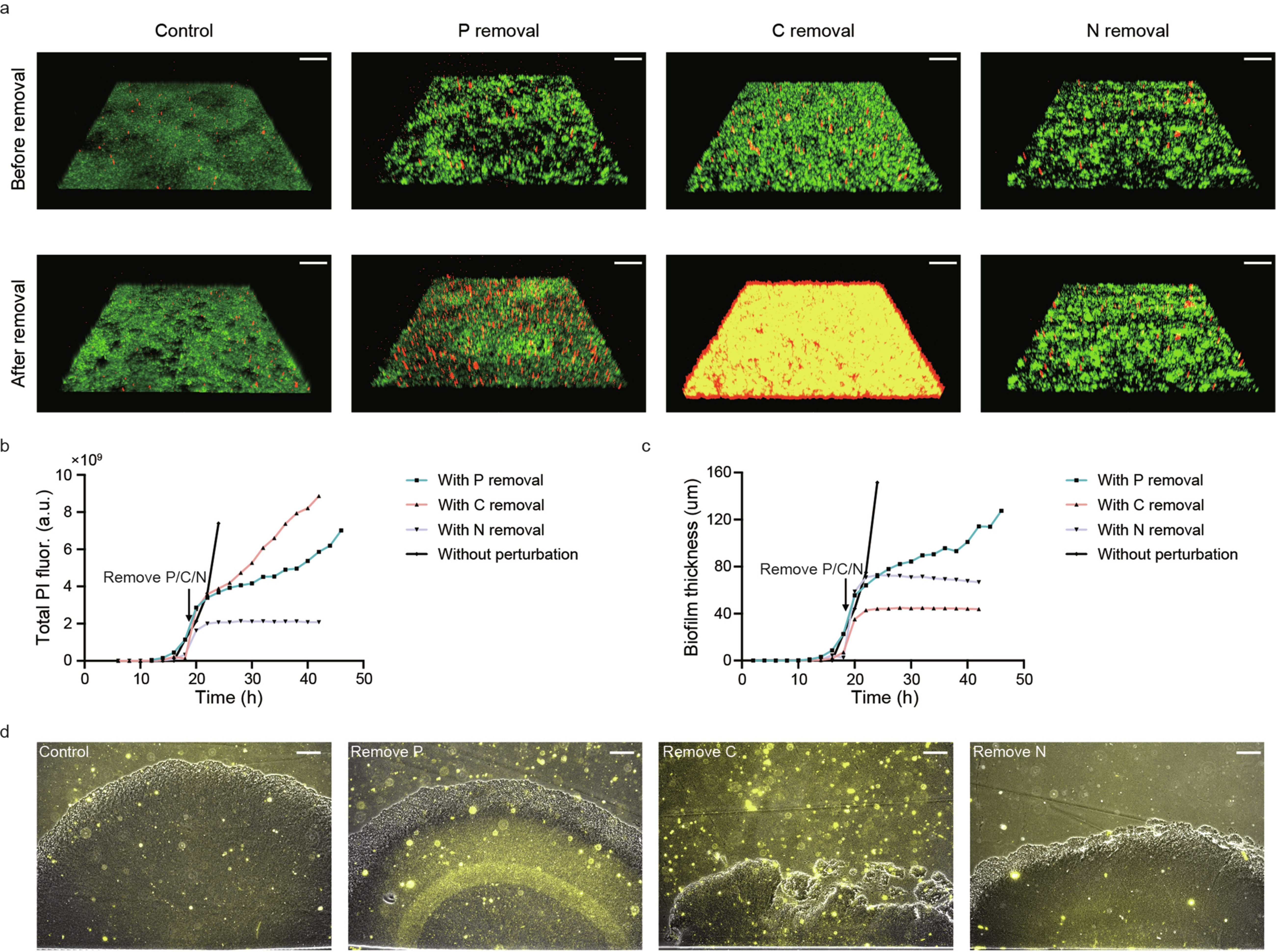 Extended Data Fig. 10