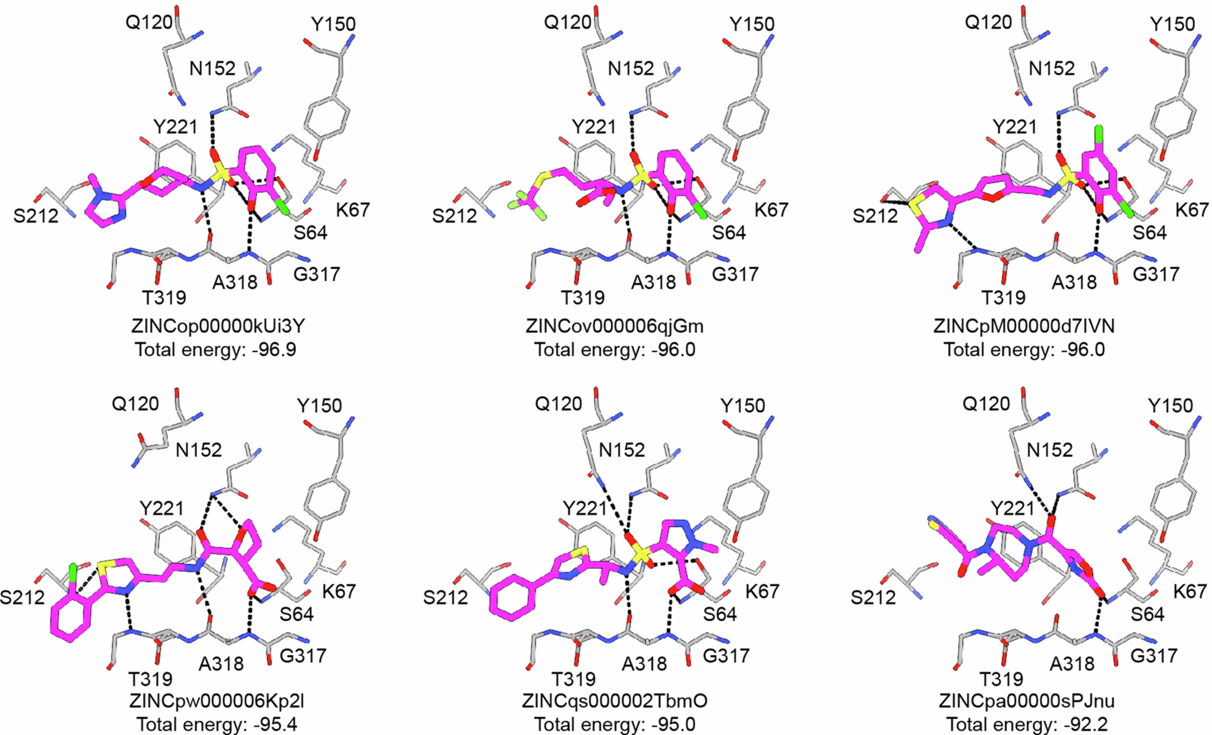 Extended Data Fig. 8: Docking poses of the some of the top scoring molecules.