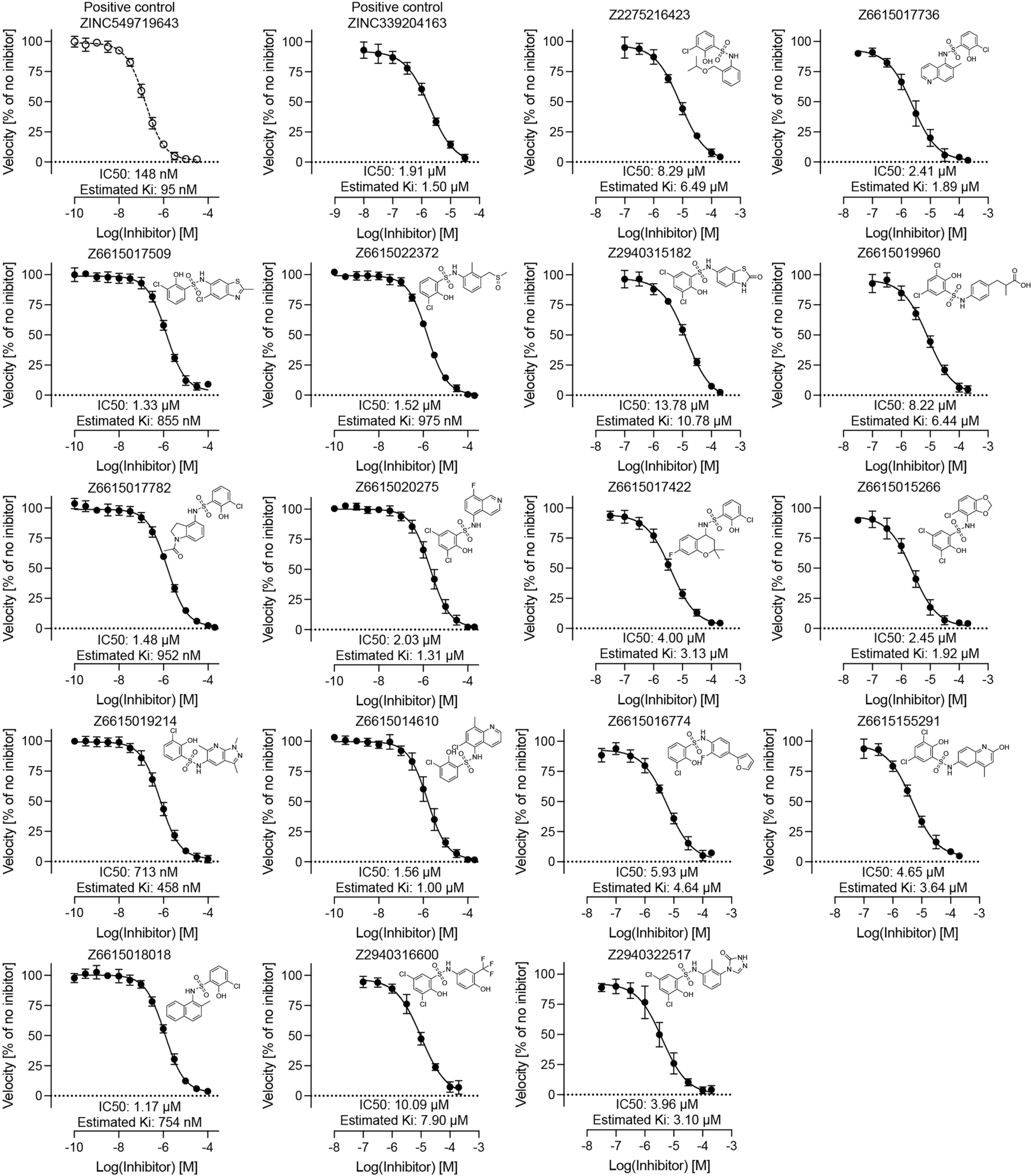 Extended Data Fig. 2: Concentration-response curves for 17 of the new docking-derived AmpC inhibitors.