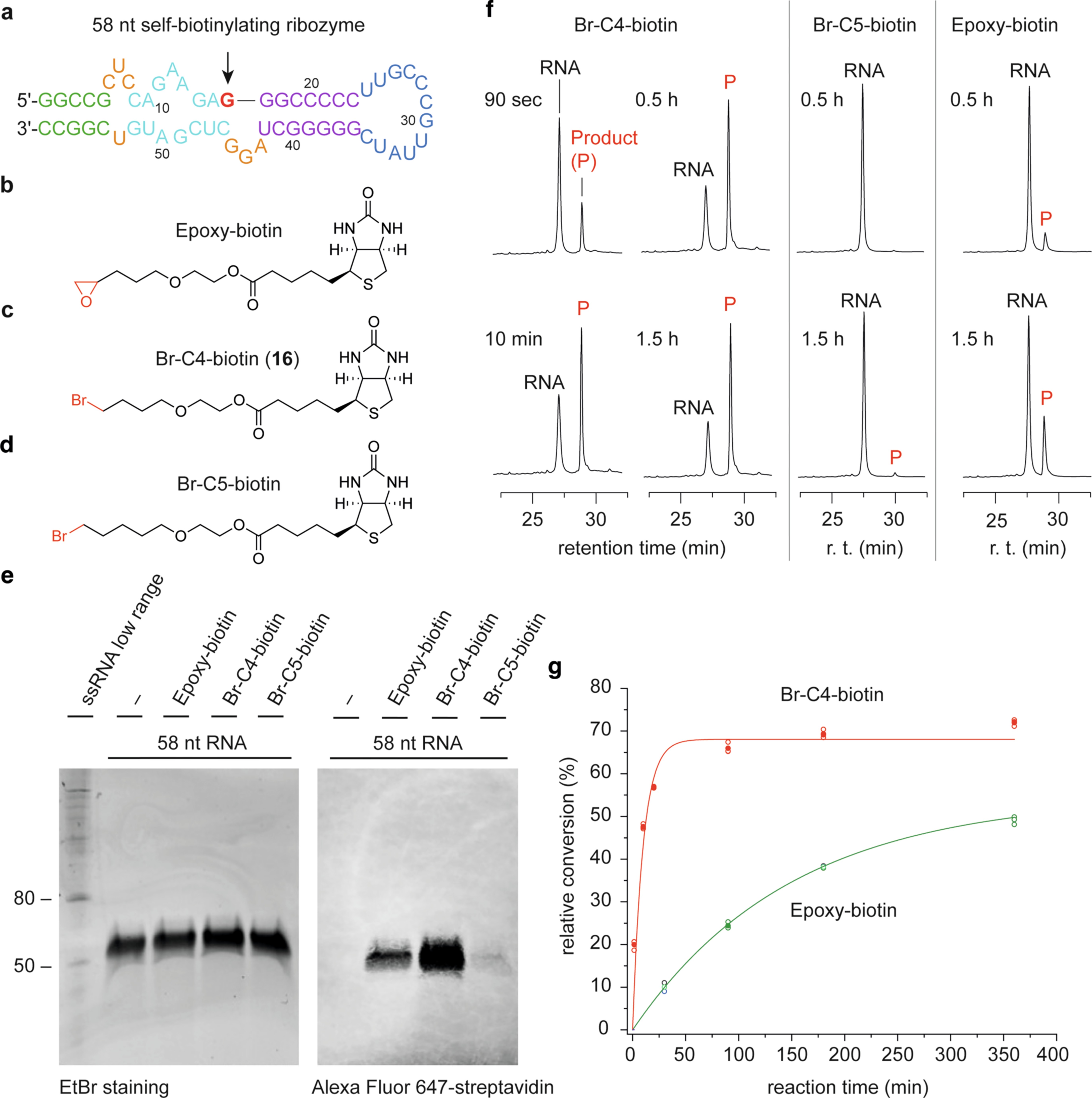 Extended Data Fig. 6