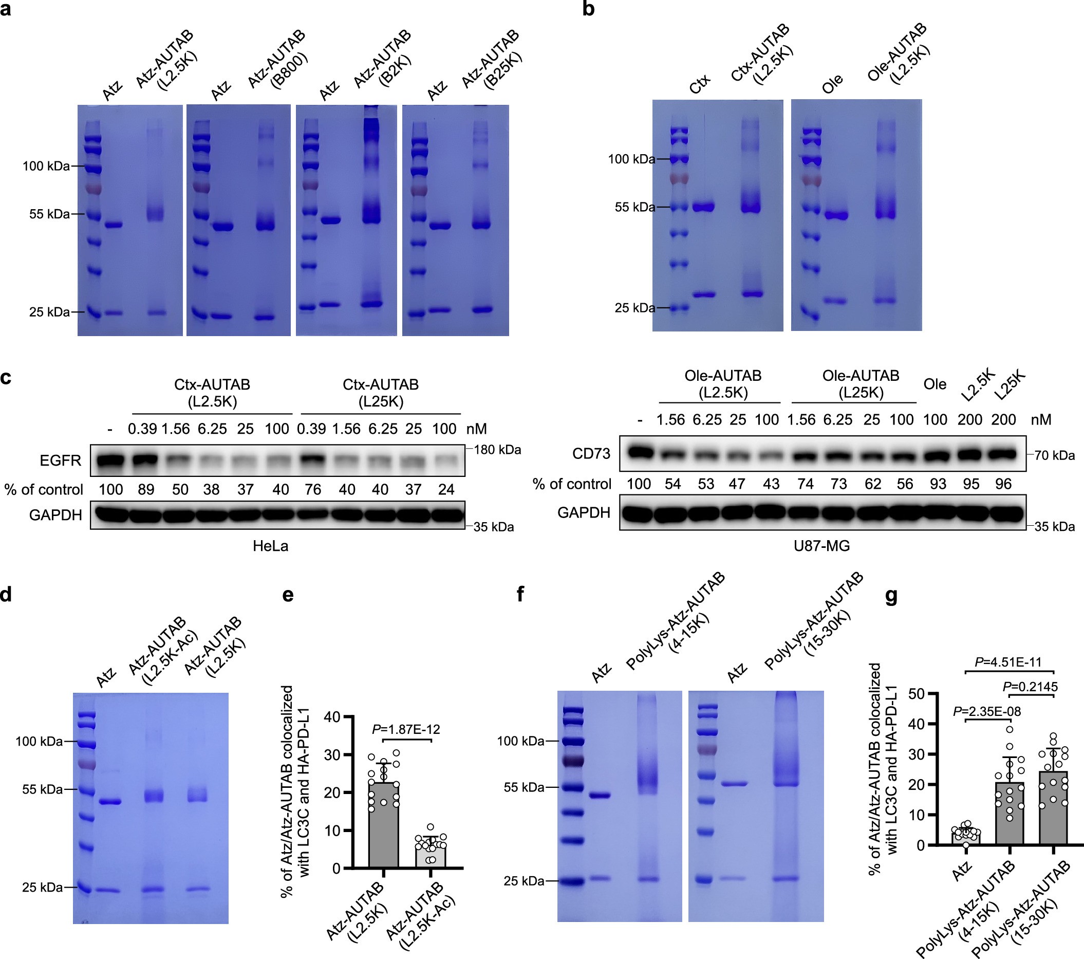 Extended Data Fig. 9