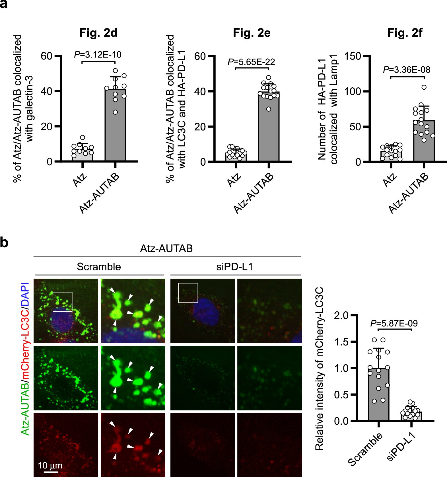 Extended Data Fig. 2