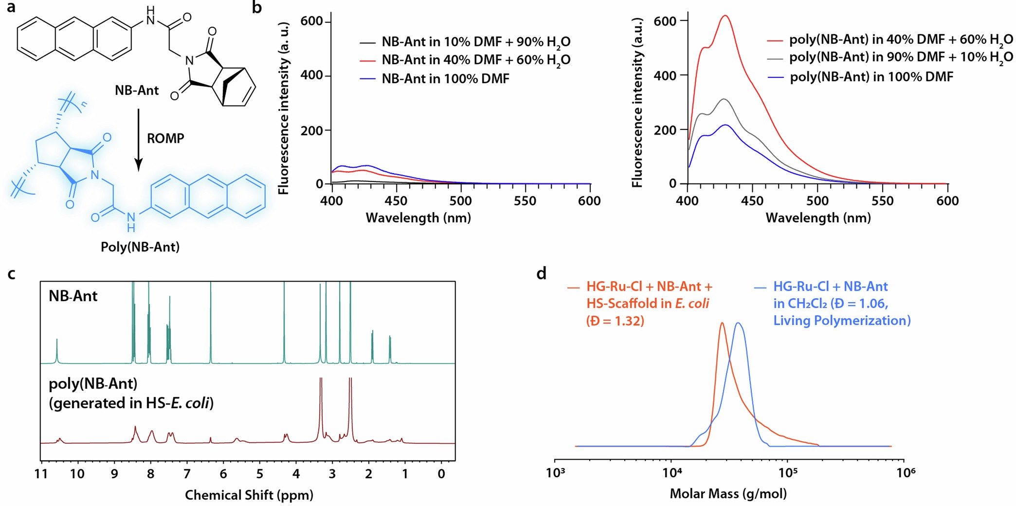 Extended Data Fig. 7: Supporting experimental results for intracellular ROMP mediated by Ru–HS–ArM in compartmentalized HS–E. coli.