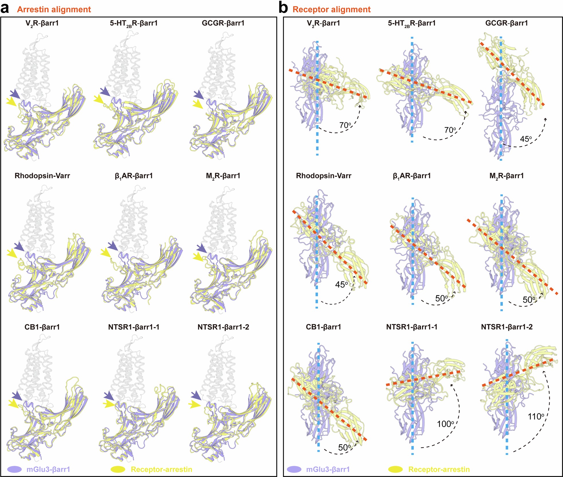 Extended Data Fig. 2: Structural comparison of different receptor-arrestin interfaces.