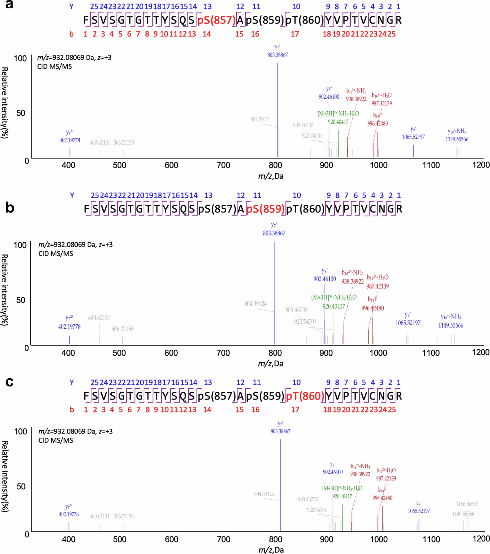 Extended Data Fig. 5: Mass spectra for detecting the mGlu3-βarr1-scFv30 protein complex mediated by GRK2.