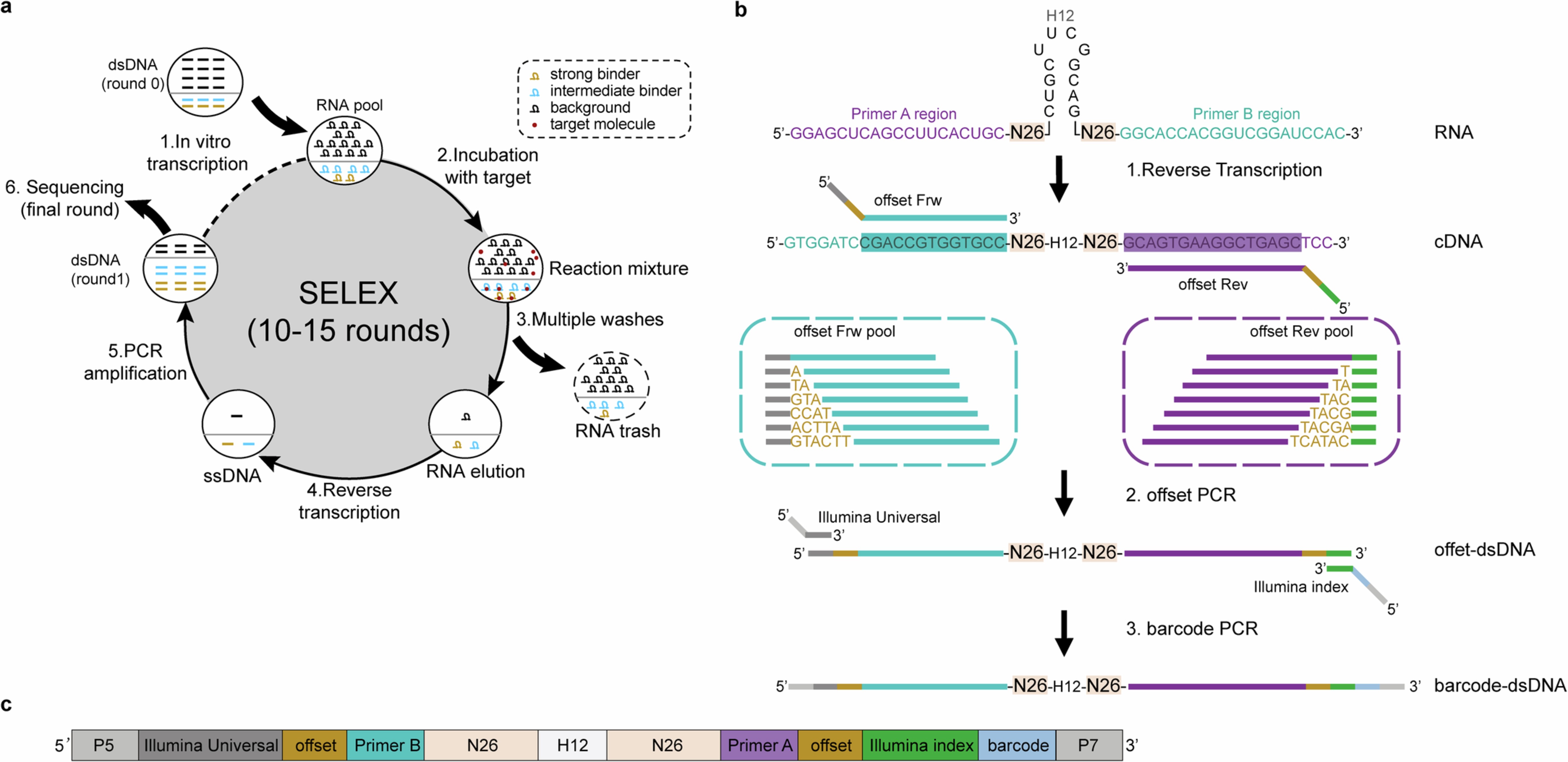 Extended Data Fig. 1