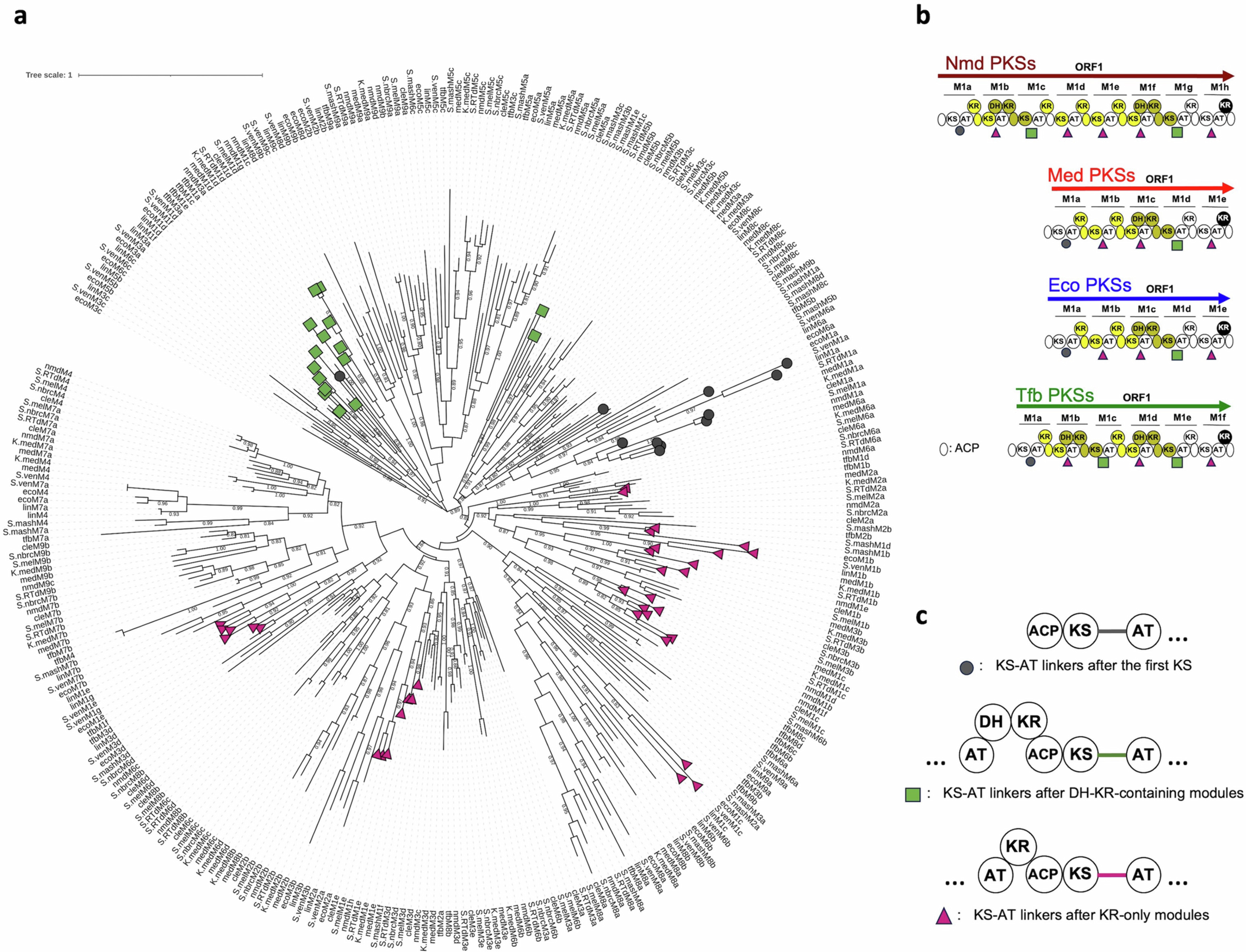 Extended Data Fig. 8