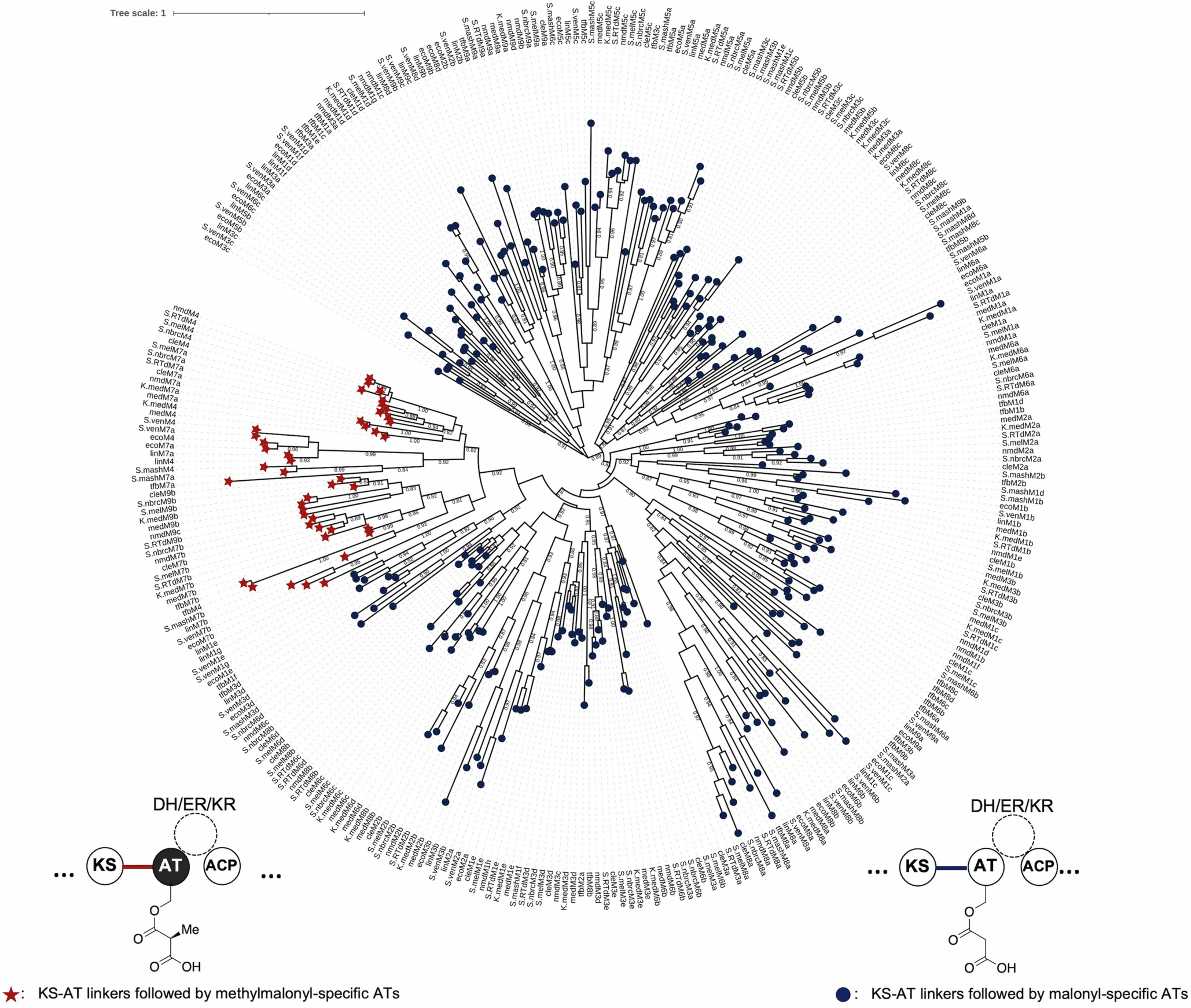 Extended Data Fig. 9