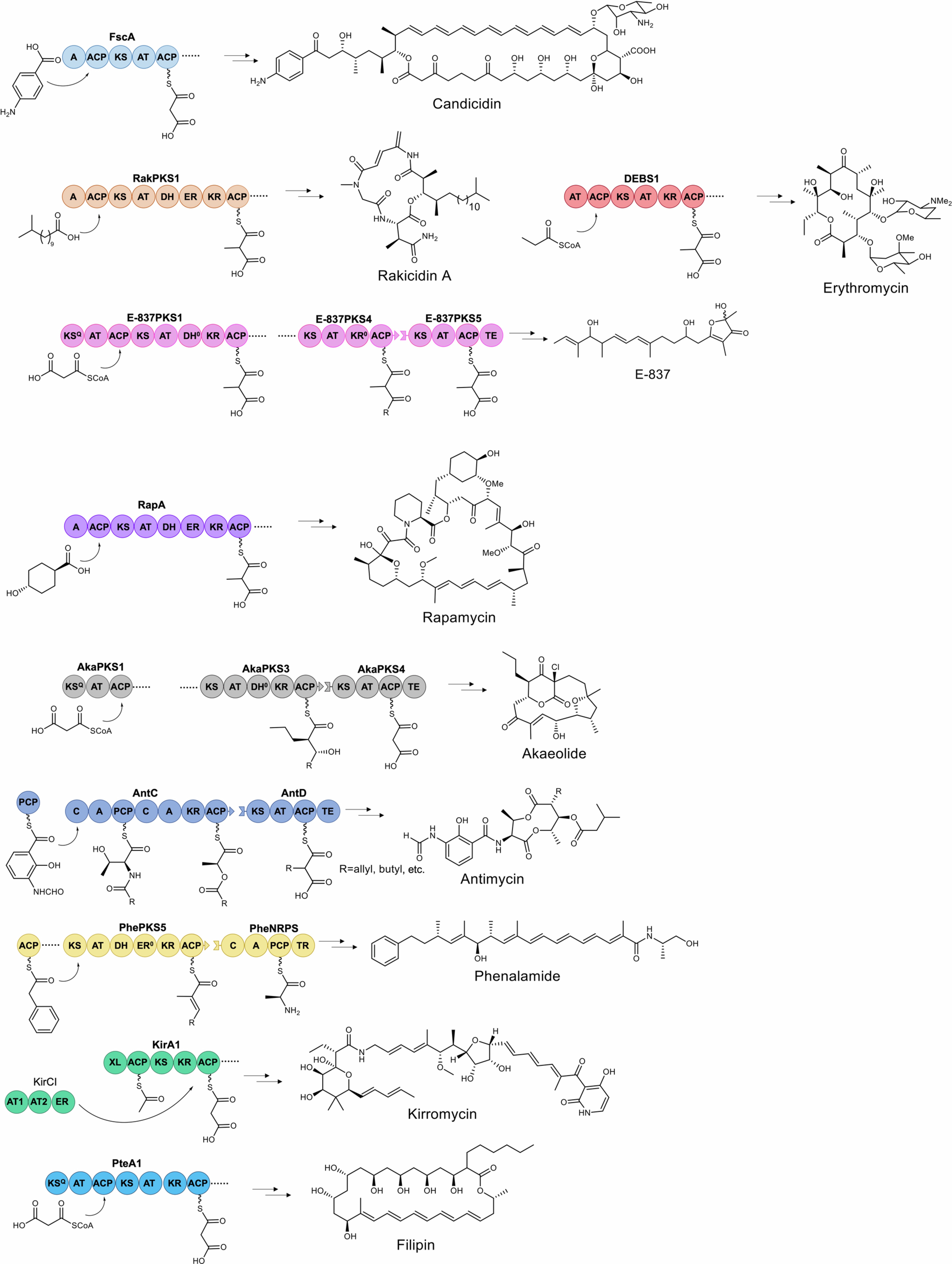 Extended Data Fig. 2