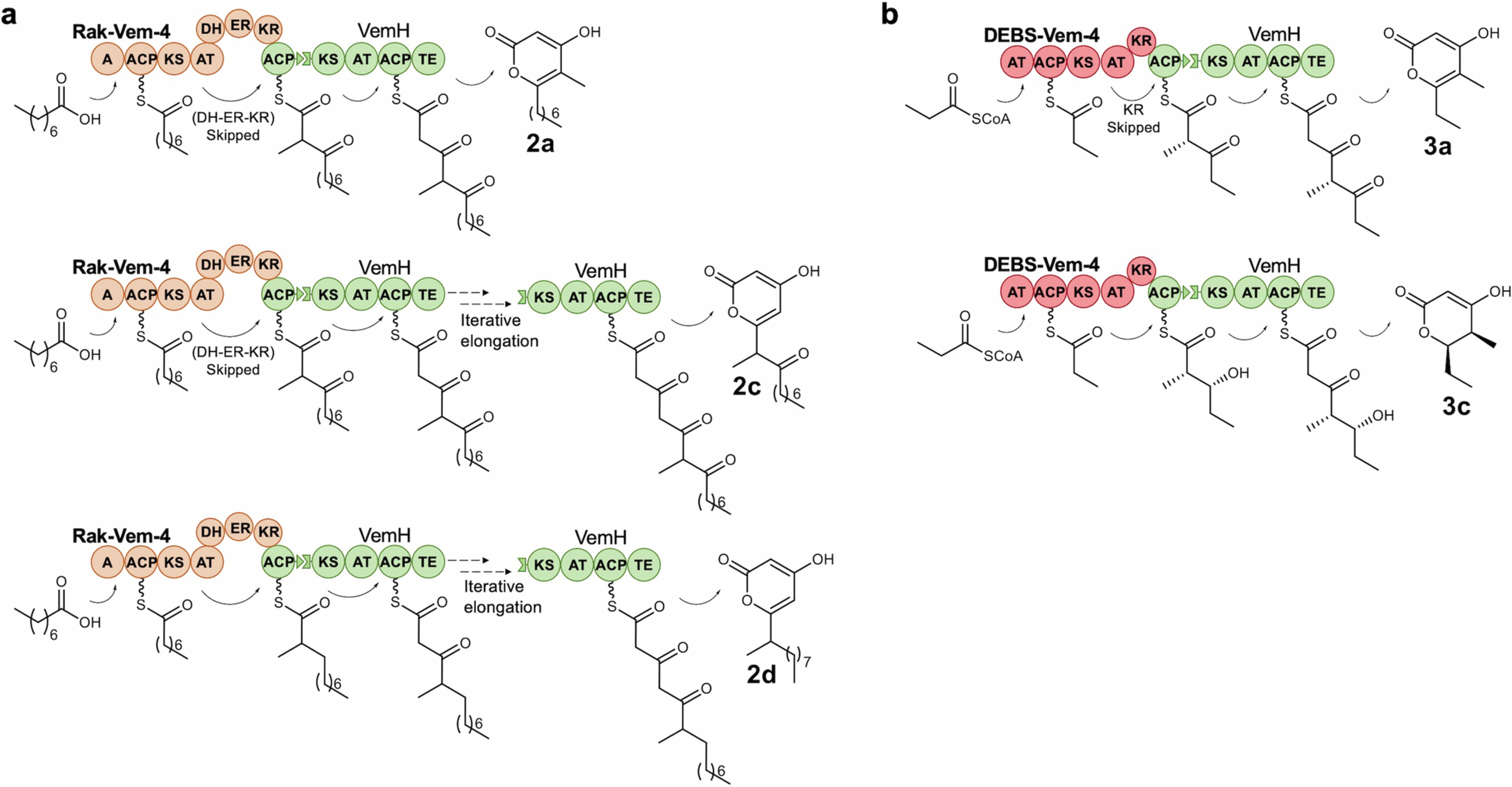 Extended Data Fig. 5