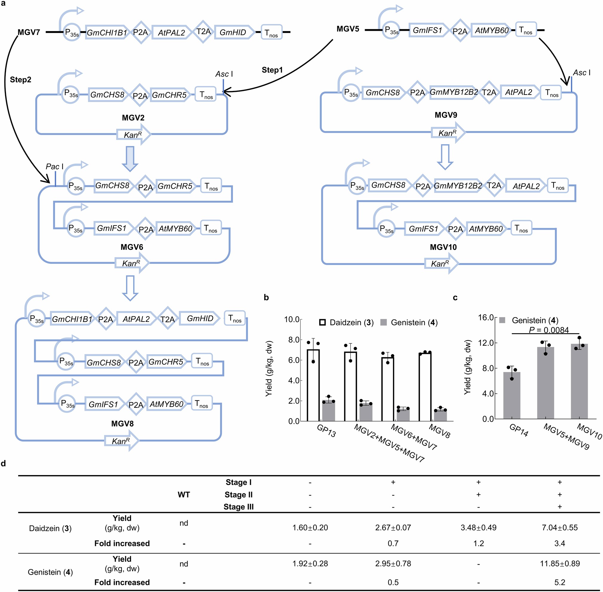 Extended Data Fig. 2: Construction of multigene vectors and their effects on daidzein and genistein production.