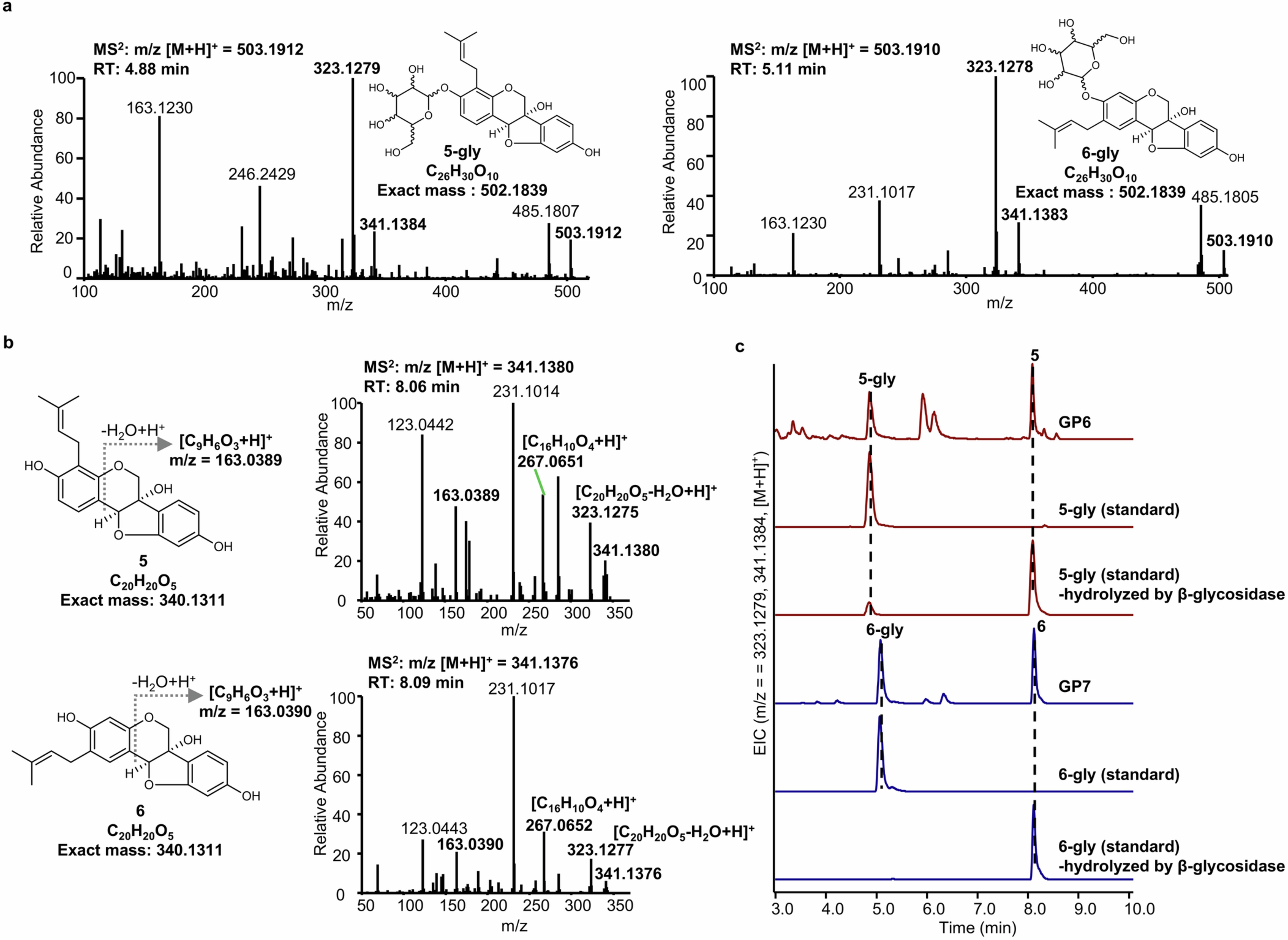 Extended Data Fig. 4: Identification and characterization of glyceollin precursors 5 and 6.