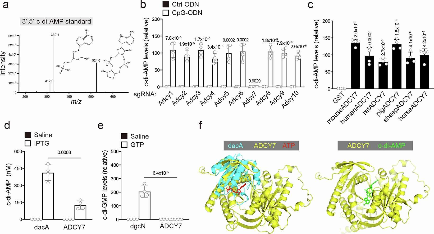 Extended Data Fig. 5: cAMP is not the second messenger that activates the NLRP3 inflammasome.