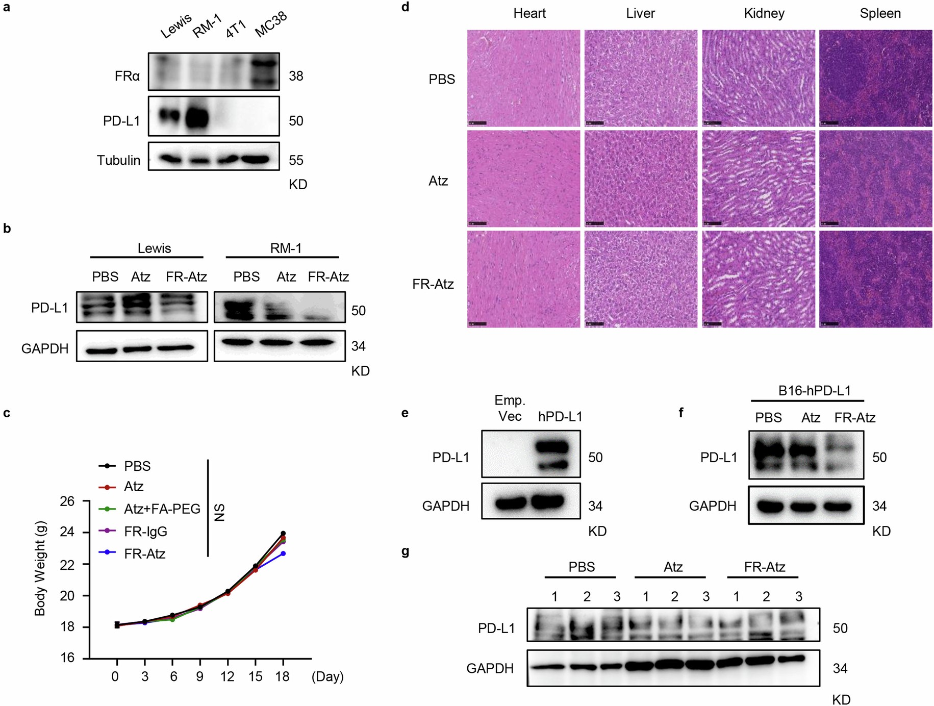 Extended Data Fig. 7