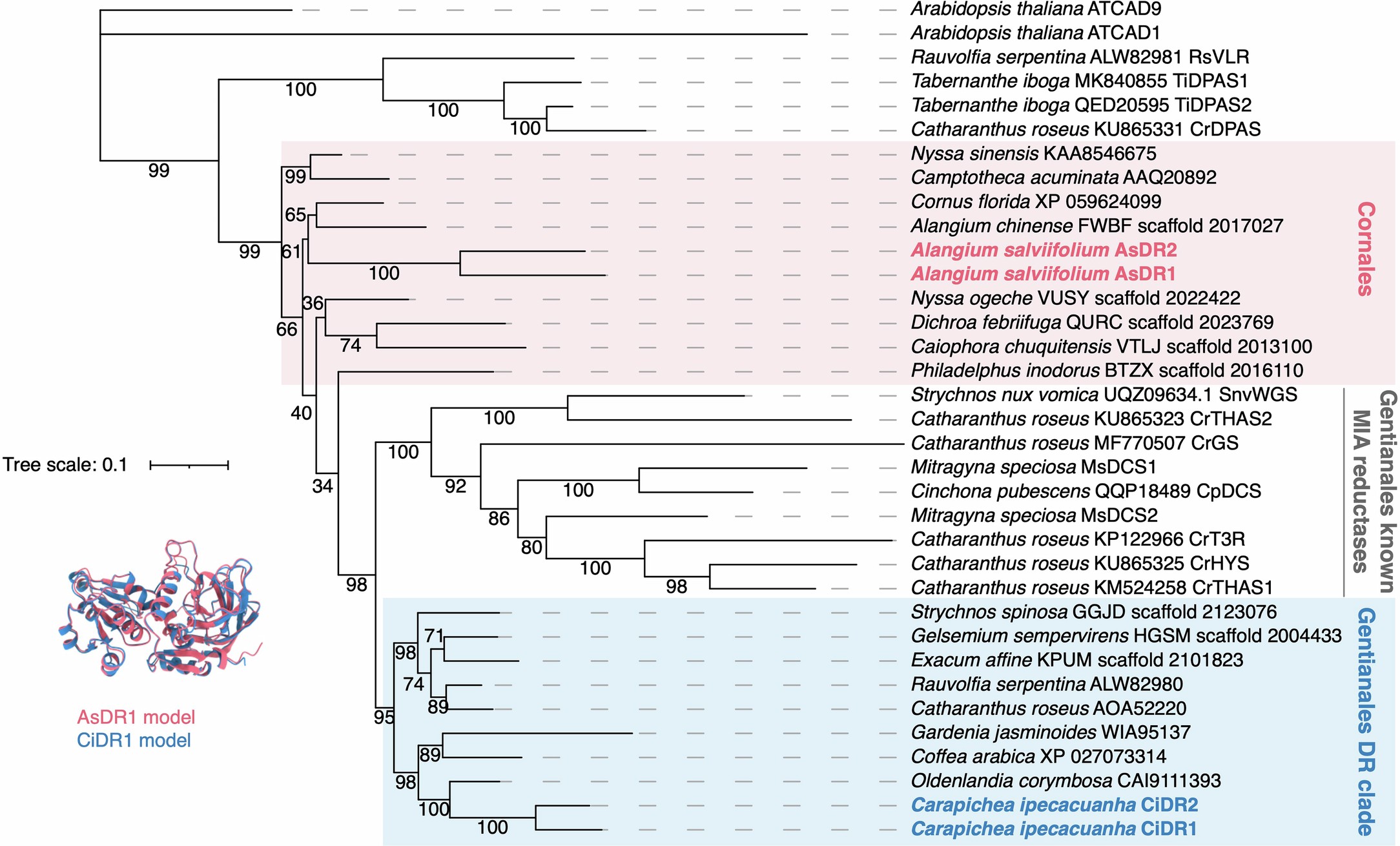 Extended Data Fig. 9
