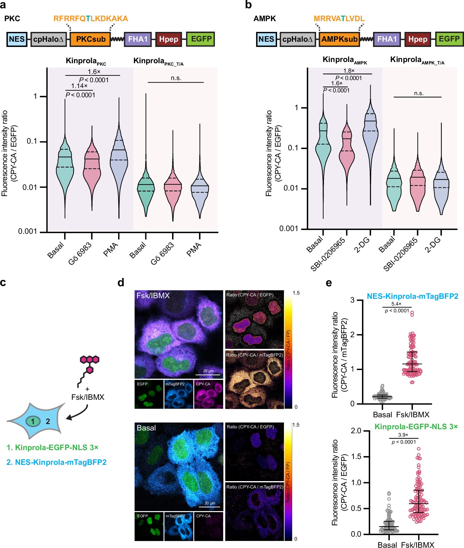 Extended Data Fig. 6