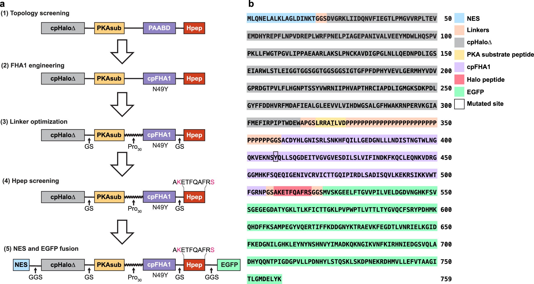 Extended Data Fig. 1